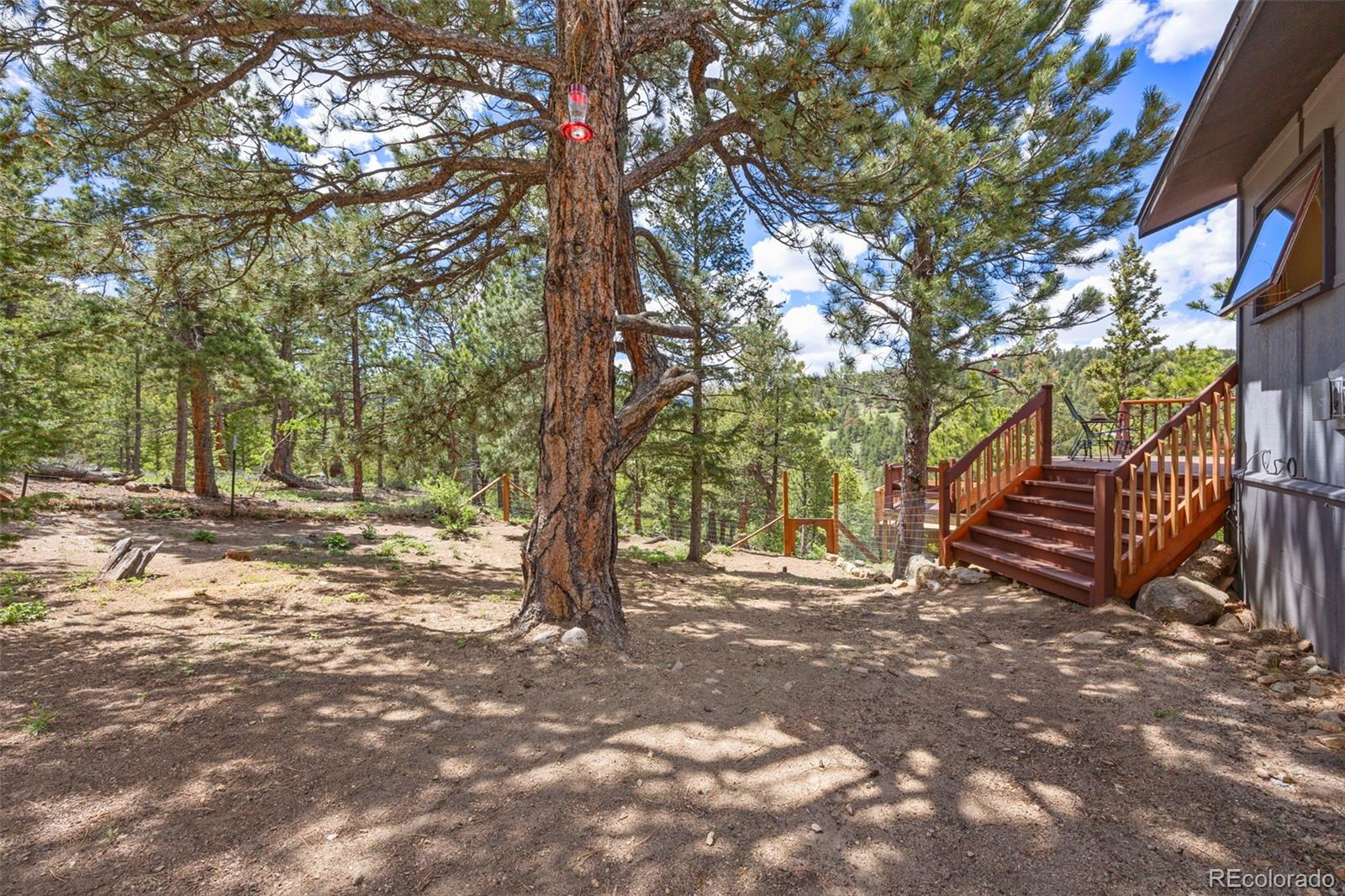 MLS Image #21 for 474  hummer drive,nederland, Colorado