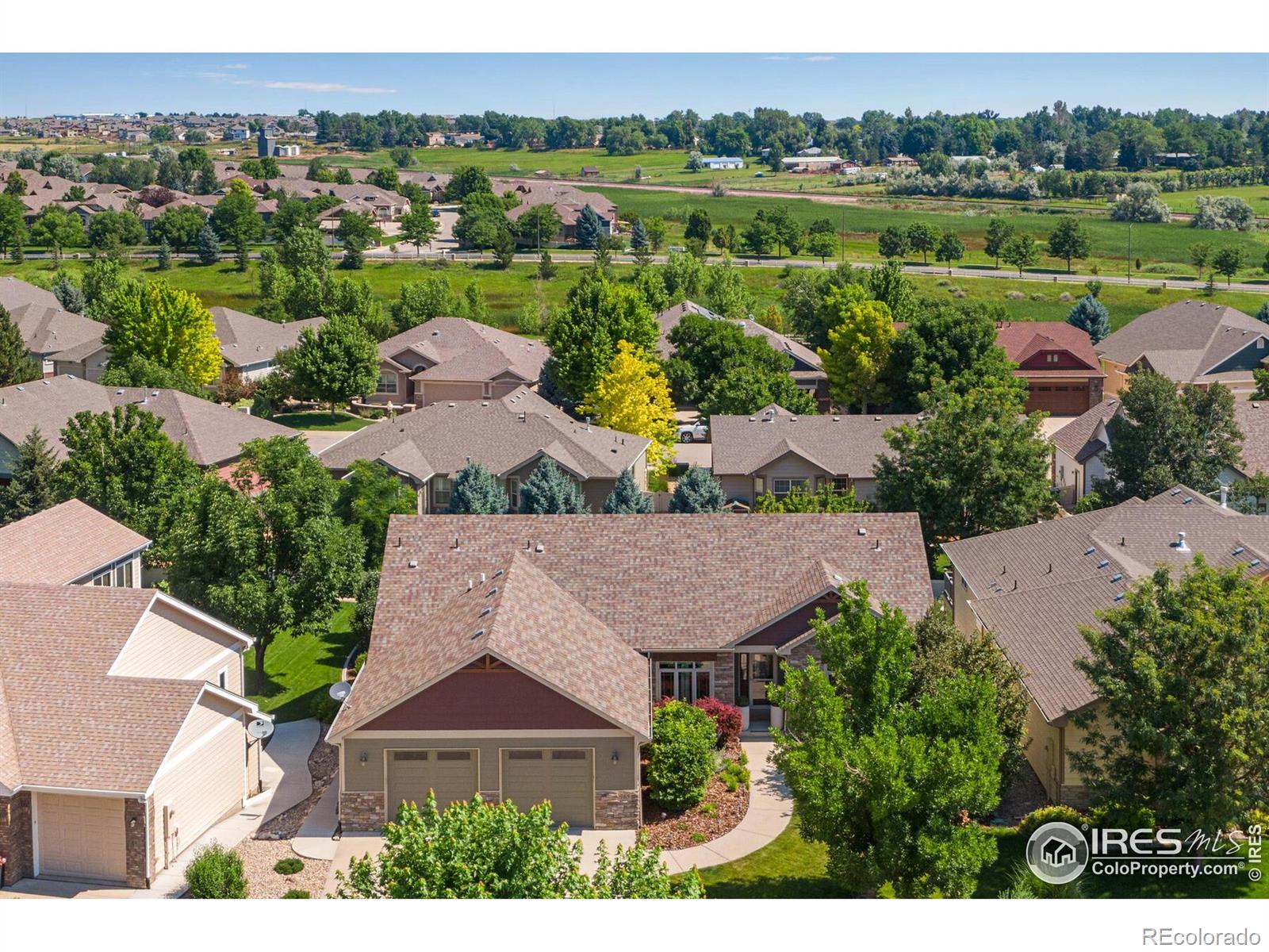 MLS Image #3 for 965  norway maple drive,loveland, Colorado