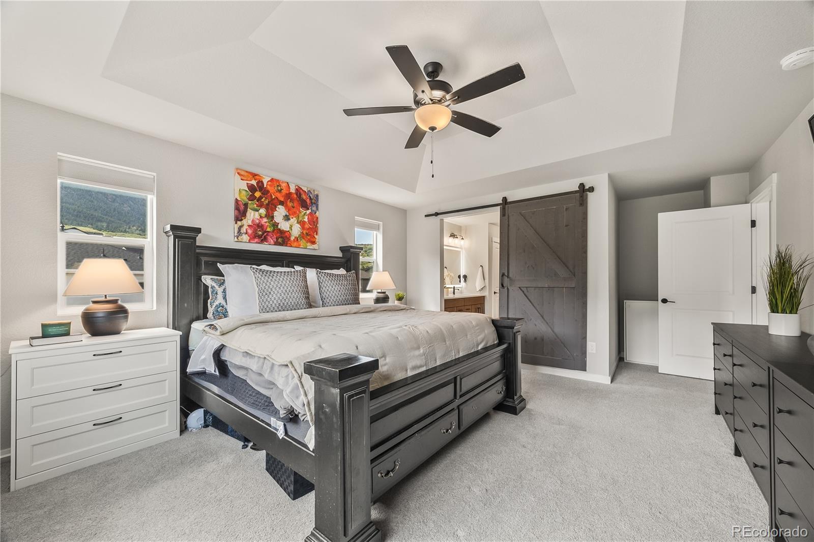 MLS Image #14 for 5446  mesa top drive,monument, Colorado