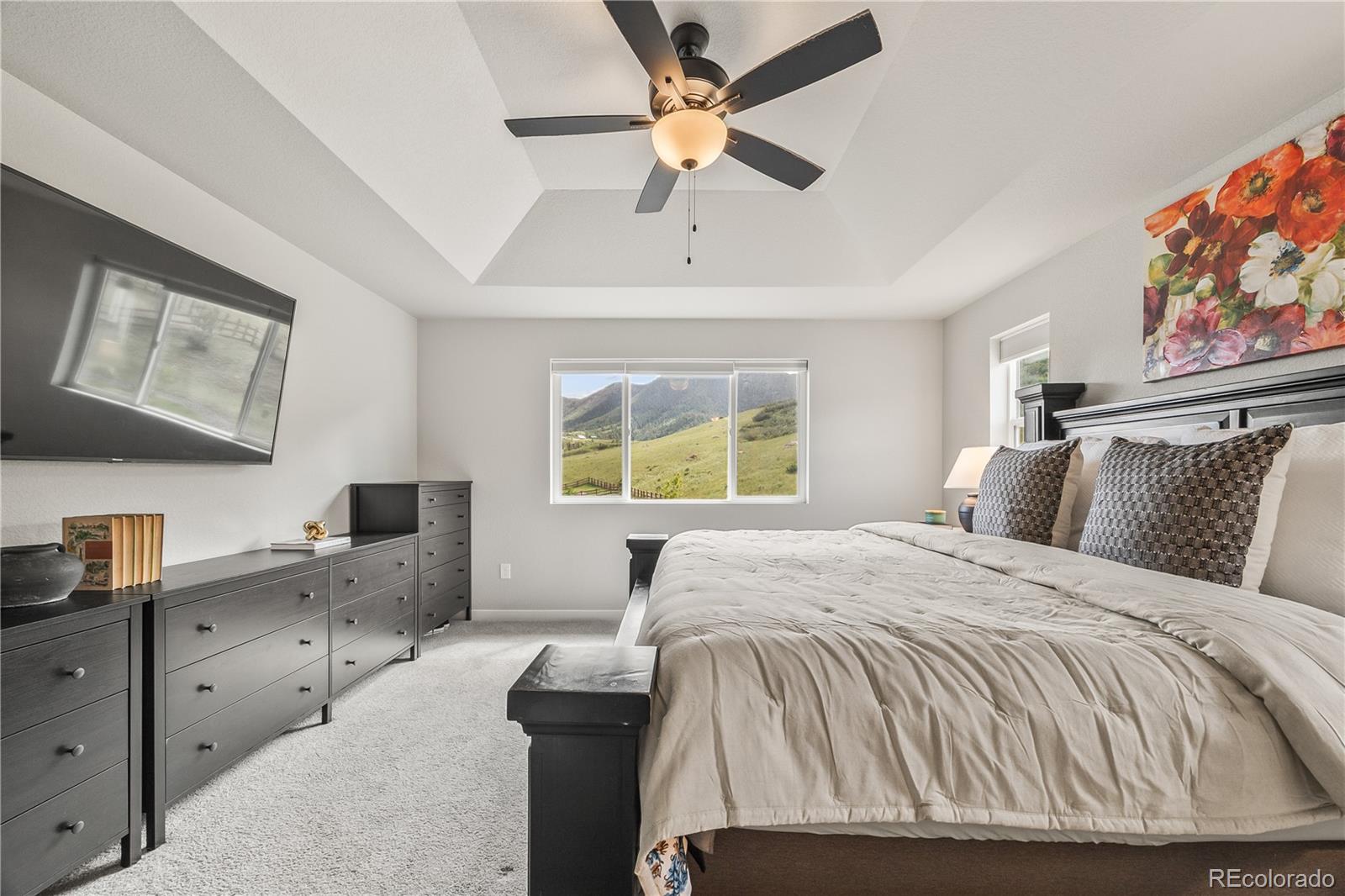 MLS Image #15 for 5446  mesa top drive,monument, Colorado