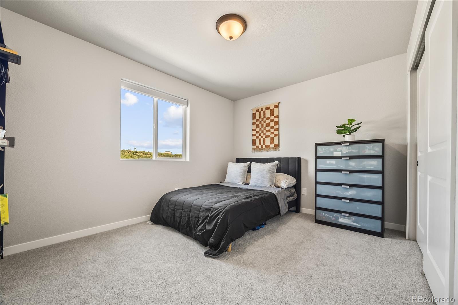 MLS Image #18 for 5446  mesa top drive,monument, Colorado