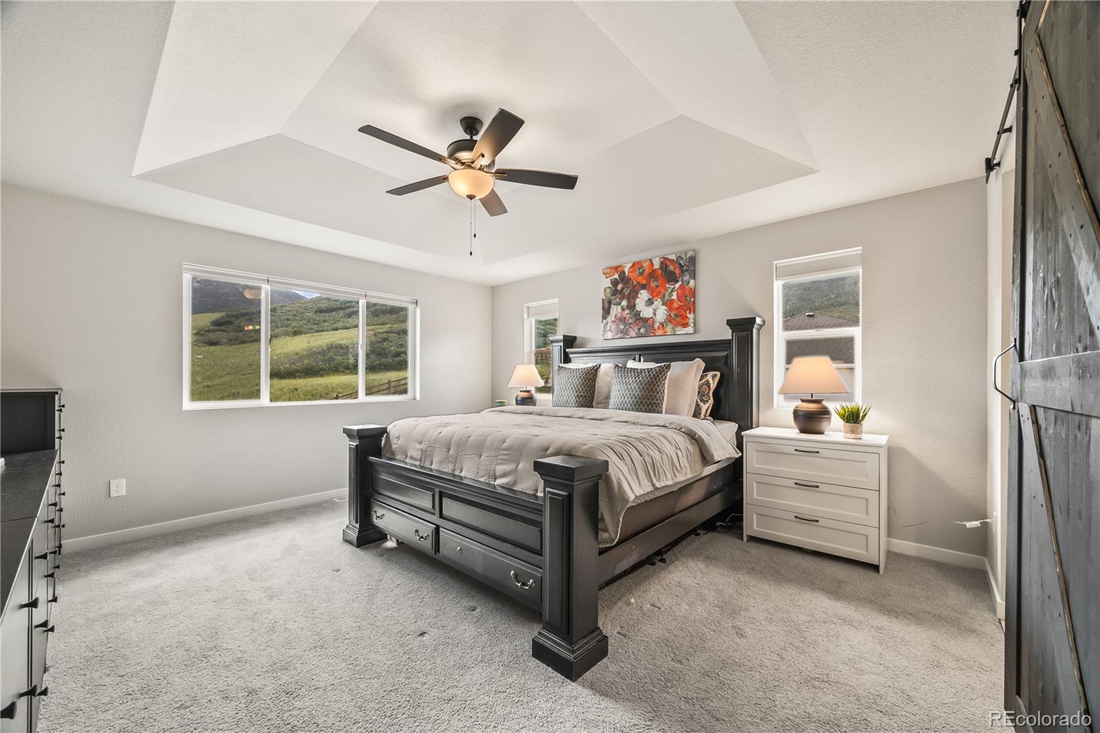 MLS Image #19 for 5446  mesa top drive,monument, Colorado
