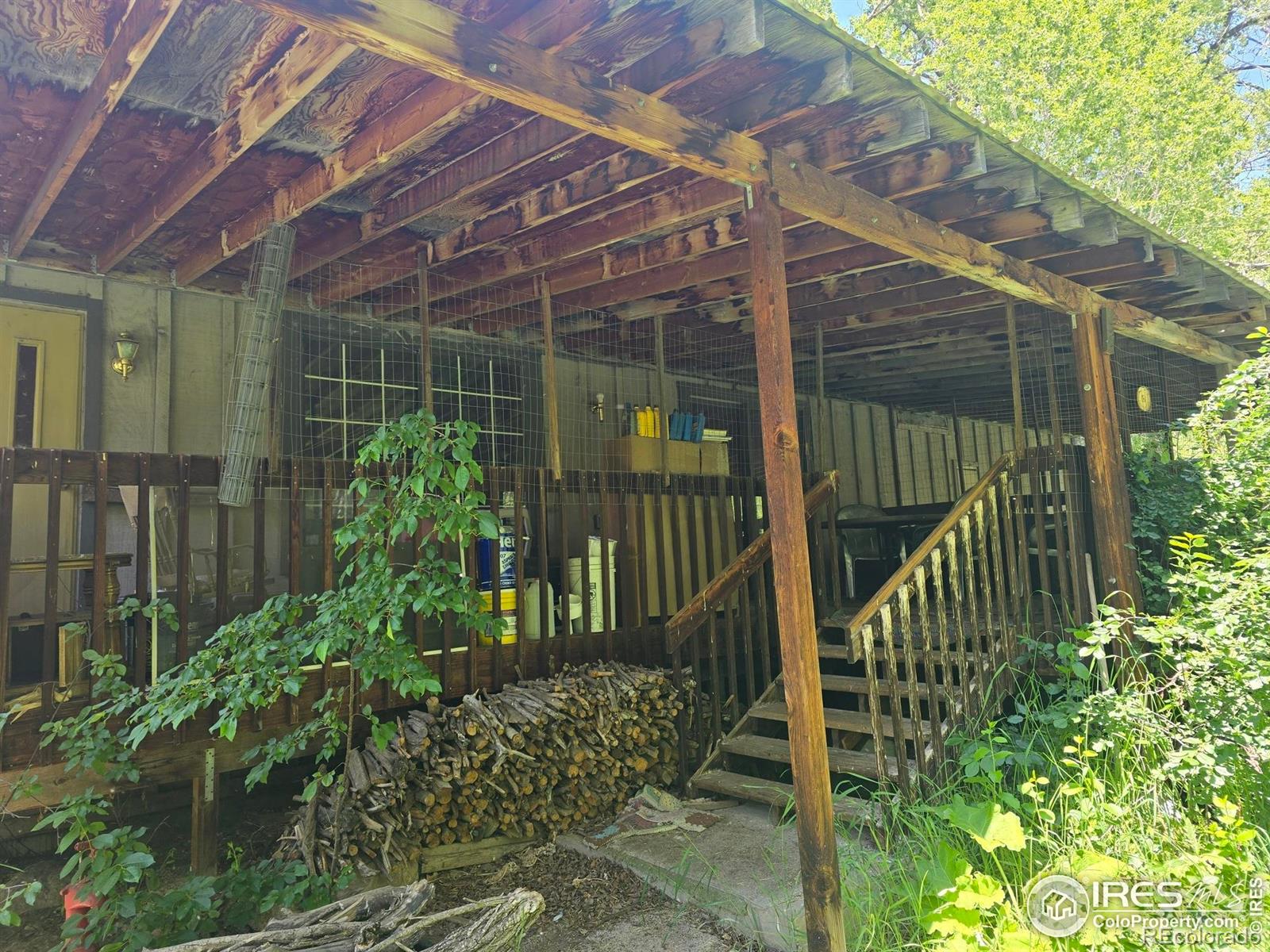 MLS Image #4 for 20881  buckhorn road,bellvue, Colorado