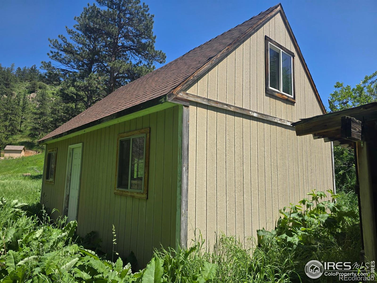 MLS Image #5 for 20881  buckhorn road,bellvue, Colorado
