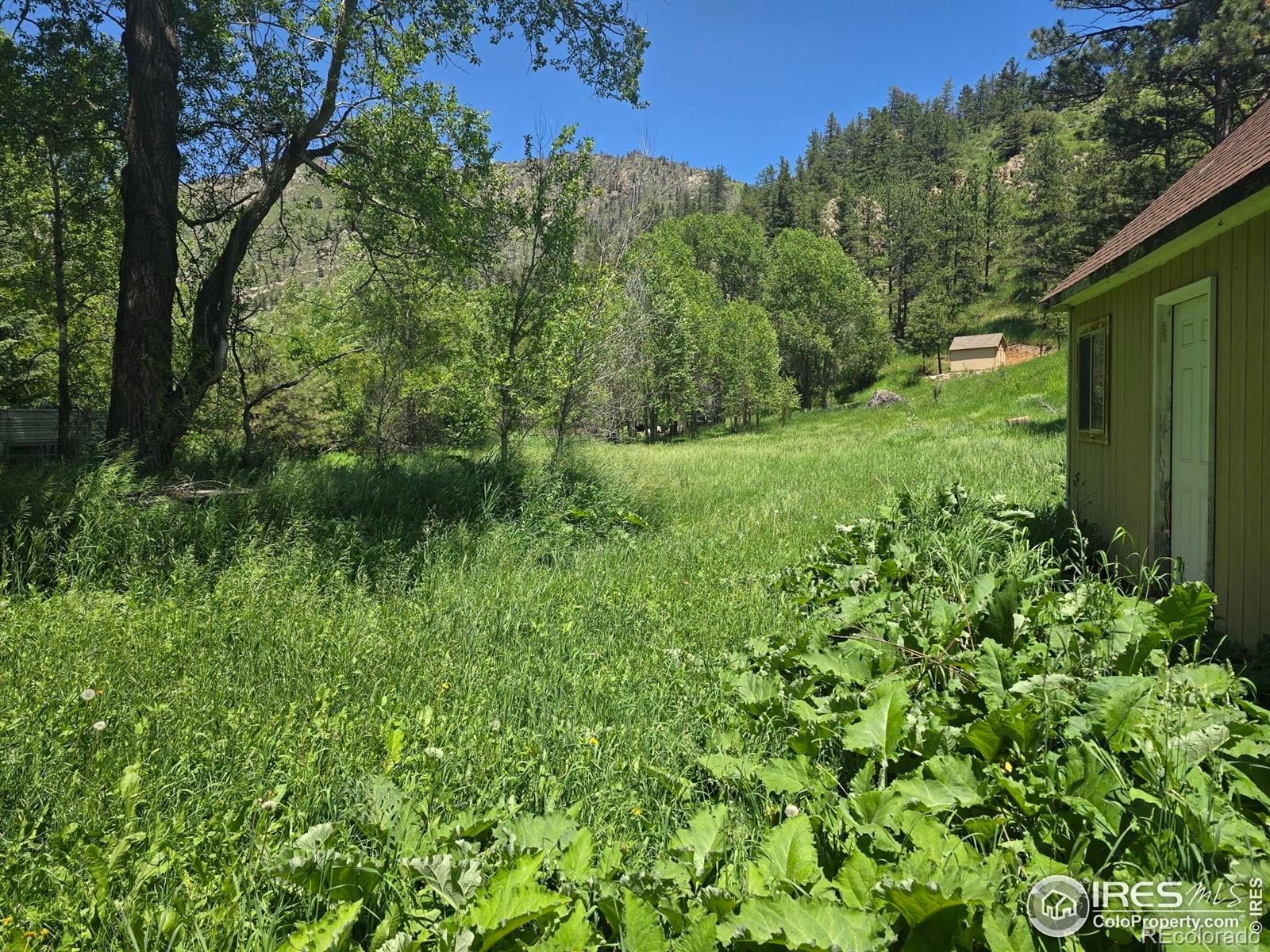 MLS Image #7 for 20881  buckhorn road,bellvue, Colorado