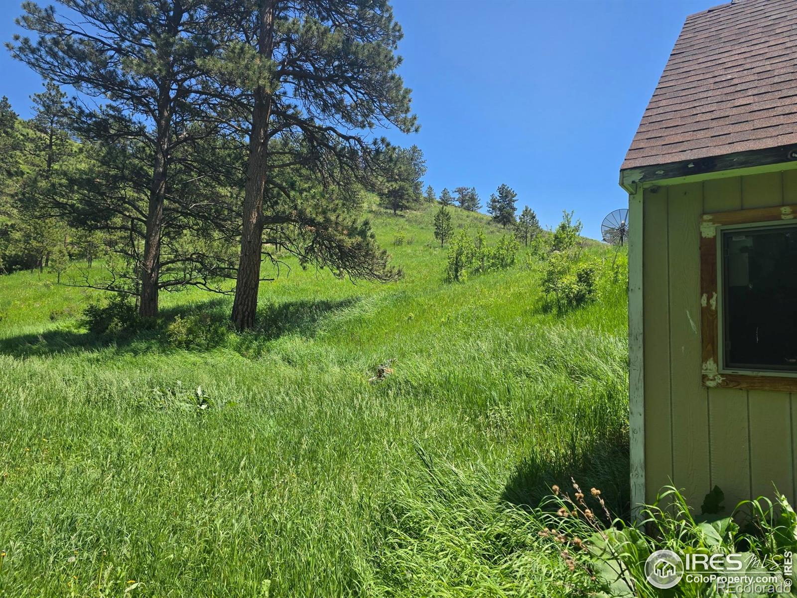 MLS Image #9 for 20881  buckhorn road,bellvue, Colorado