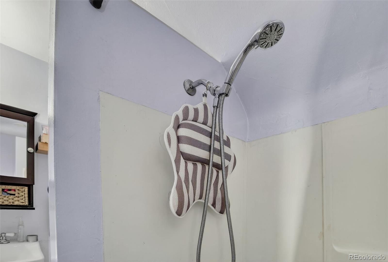 MLS Image #42 for 274 s lincoln street,denver, Colorado