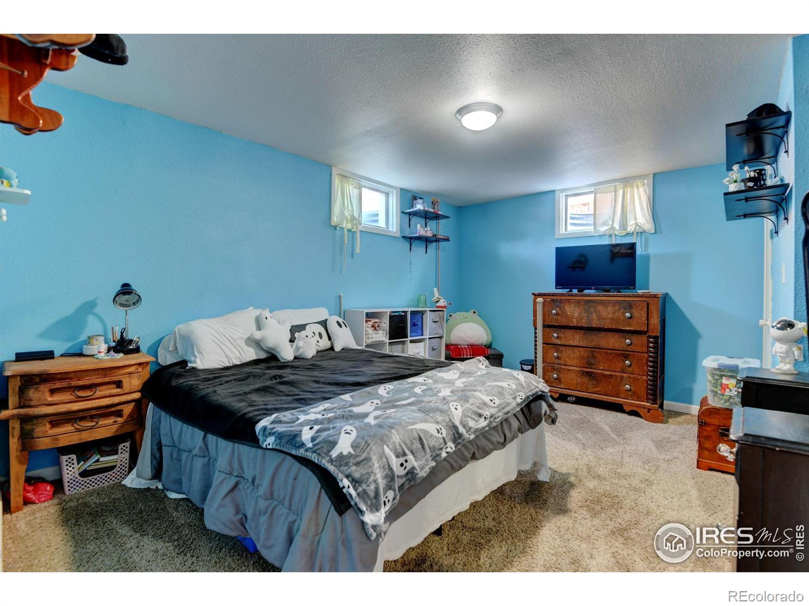 MLS Image #21 for 3110 n franklin avenue,loveland, Colorado