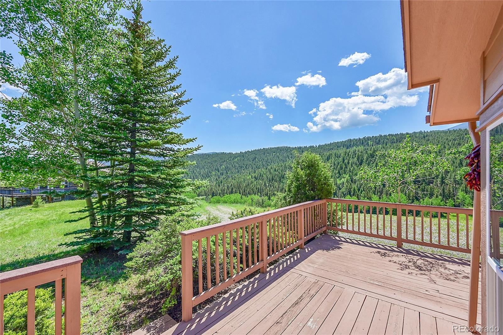 MLS Image #16 for 153  gold run trail,idaho springs, Colorado
