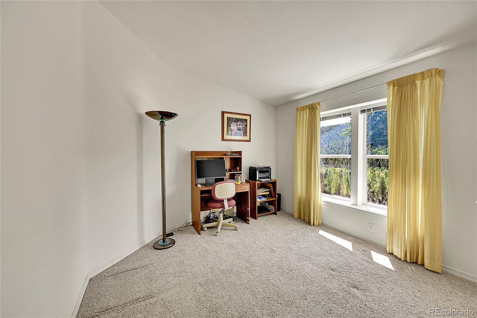 MLS Image #28 for 153  gold run trail,idaho springs, Colorado