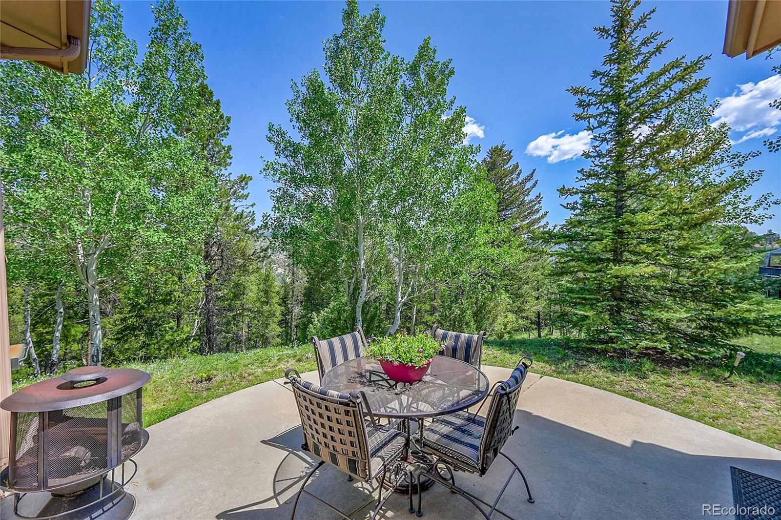 MLS Image #3 for 153  gold run trail,idaho springs, Colorado