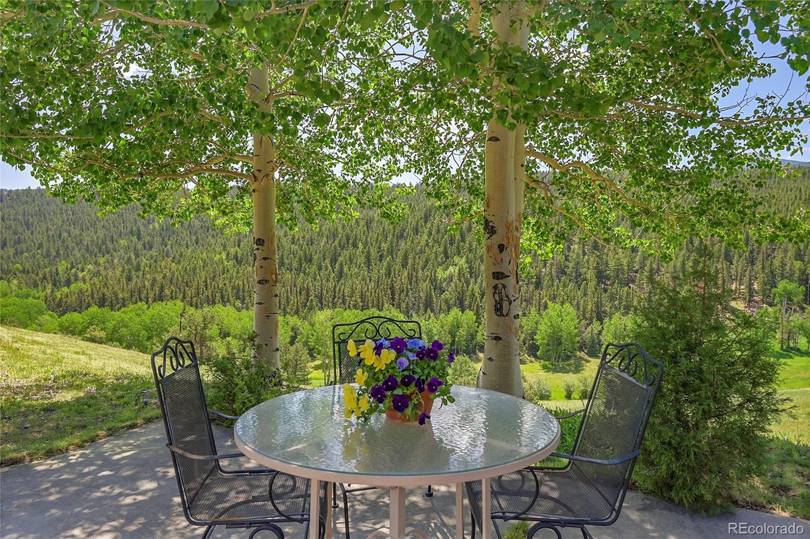 MLS Image #30 for 153  gold run trail,idaho springs, Colorado