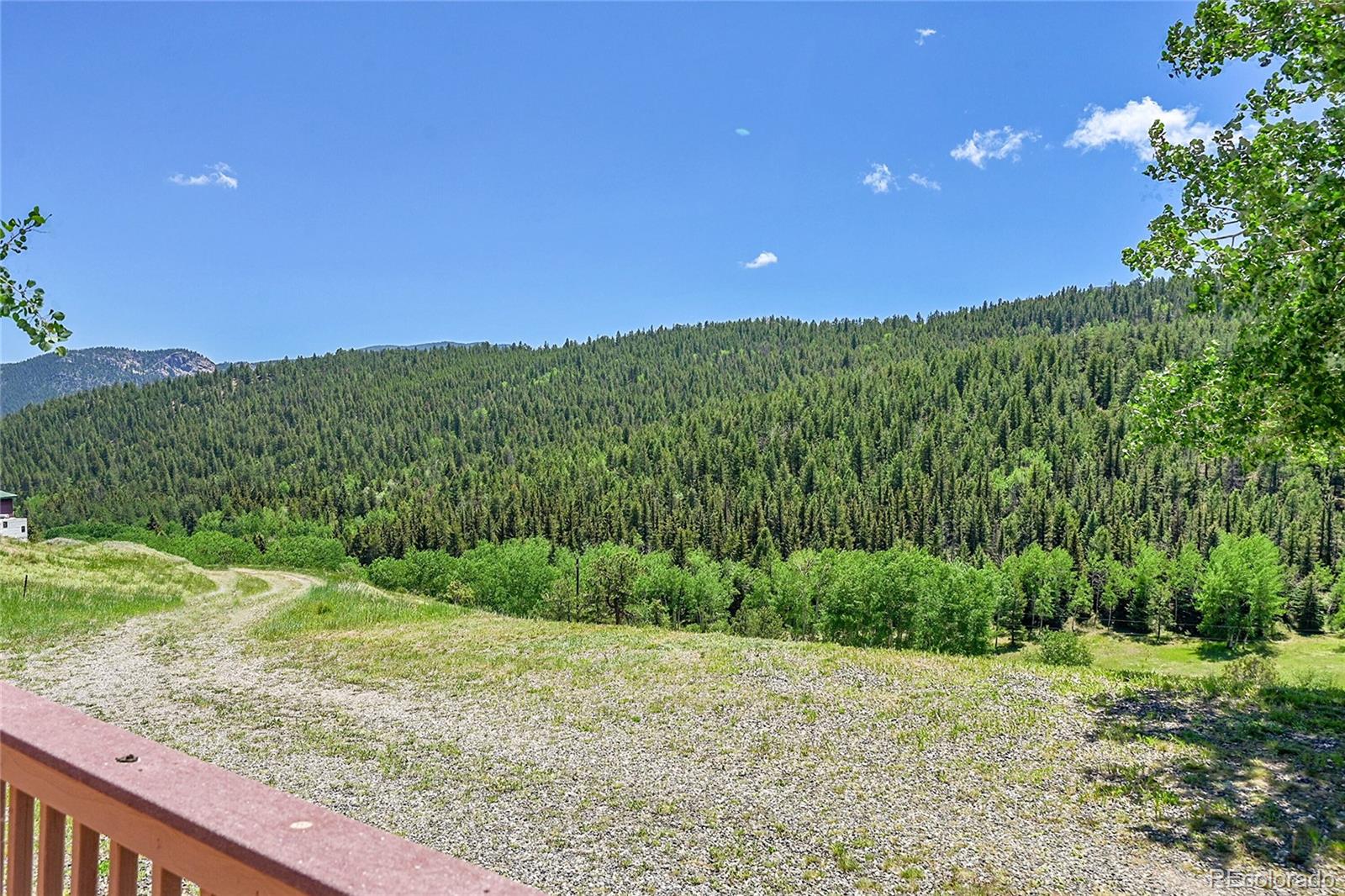 MLS Image #31 for 153  gold run trail,idaho springs, Colorado