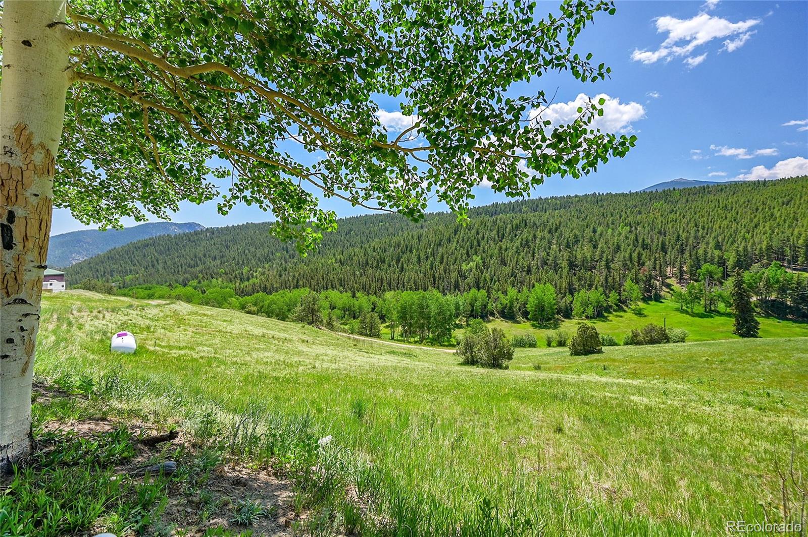 MLS Image #34 for 153  gold run trail,idaho springs, Colorado