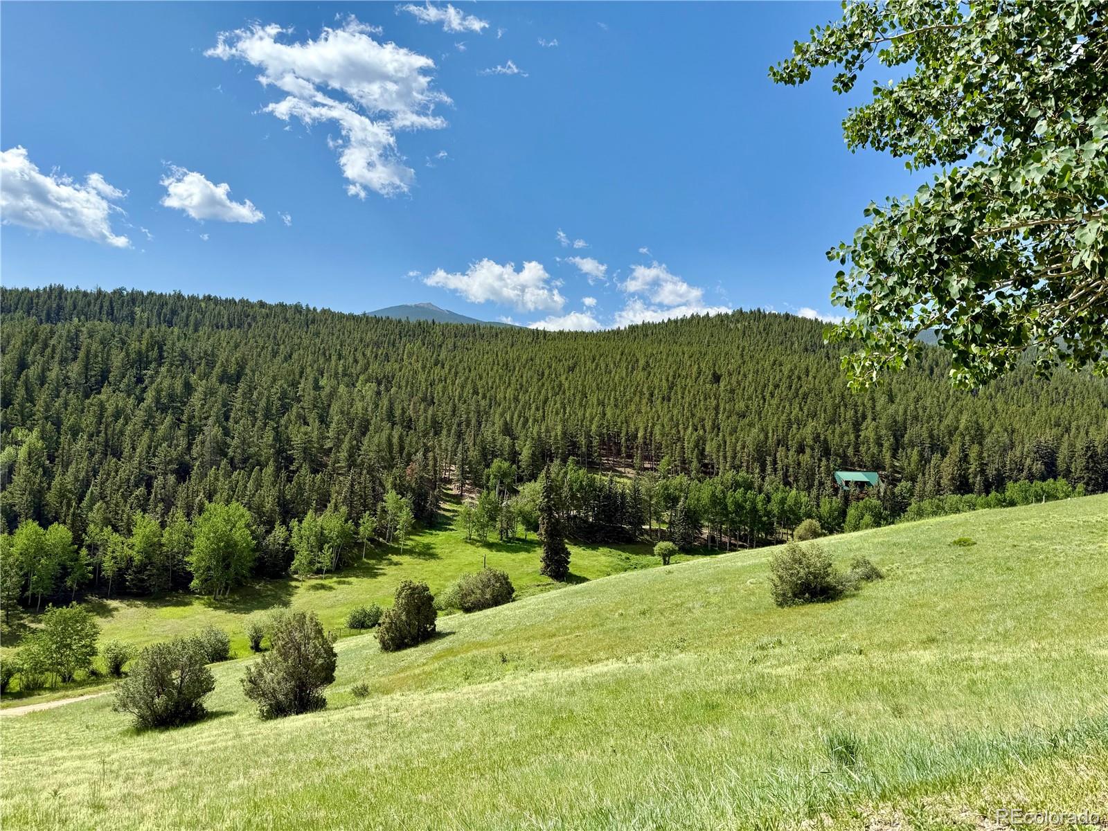 MLS Image #38 for 153  gold run trail,idaho springs, Colorado