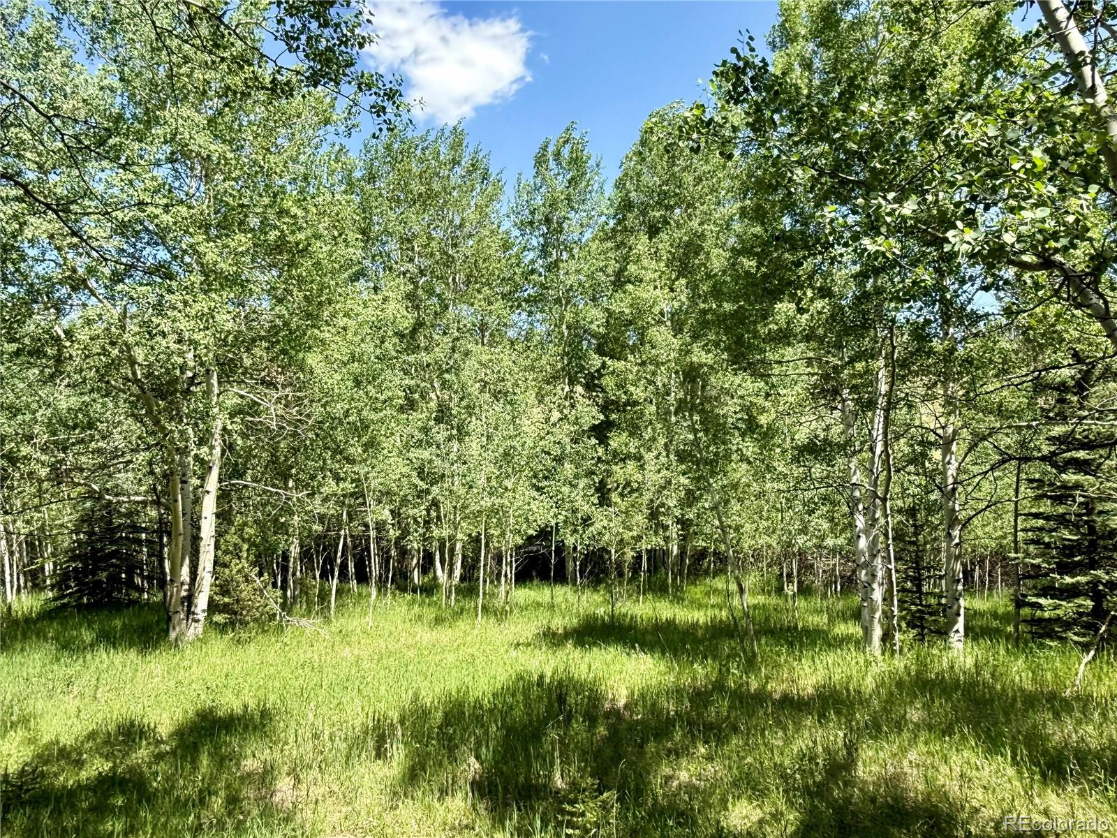 MLS Image #41 for 153  gold run trail,idaho springs, Colorado
