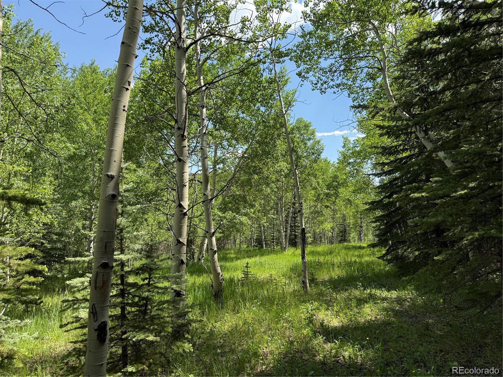 MLS Image #42 for 153  gold run trail,idaho springs, Colorado