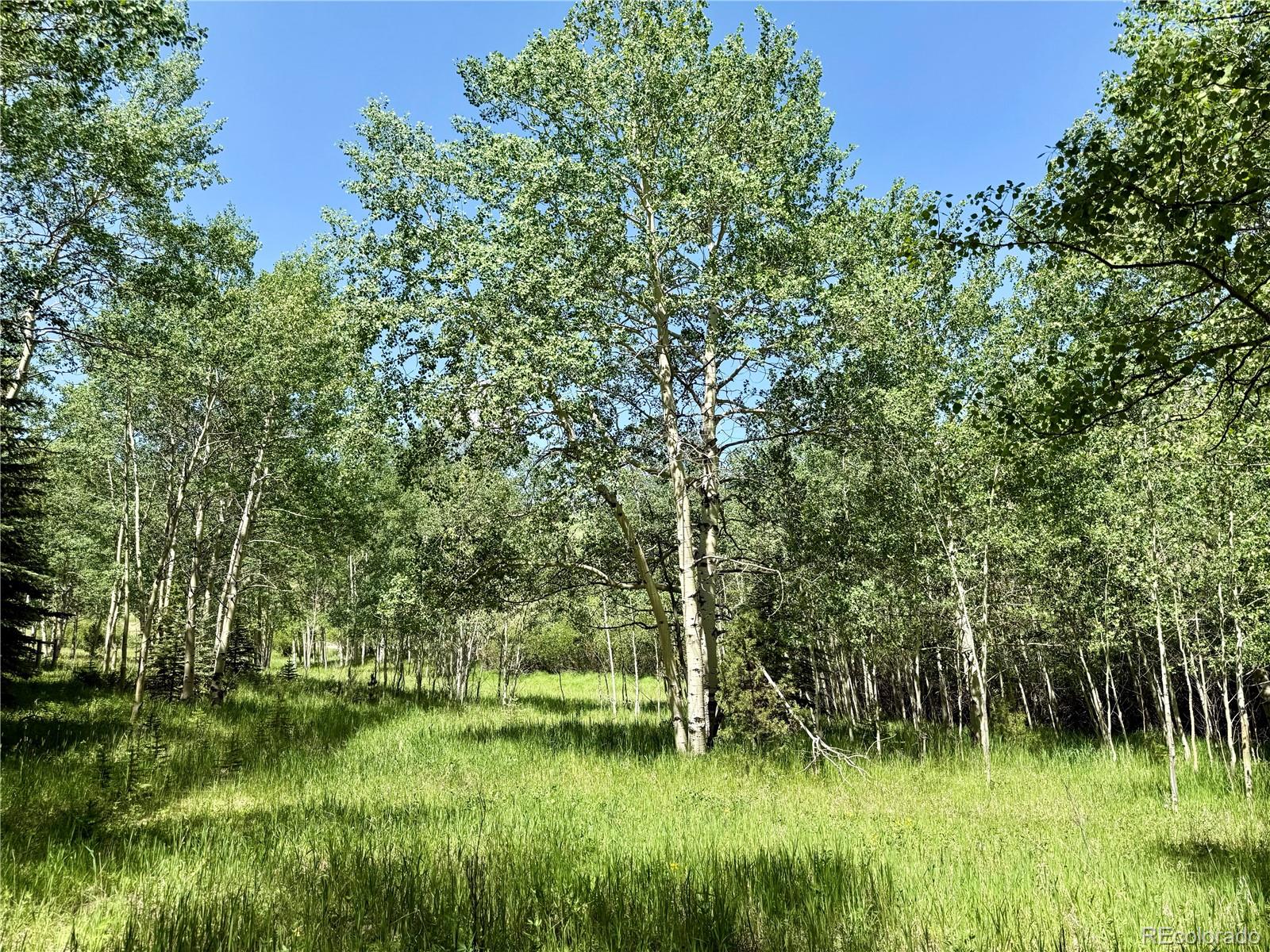 MLS Image #43 for 153  gold run trail,idaho springs, Colorado