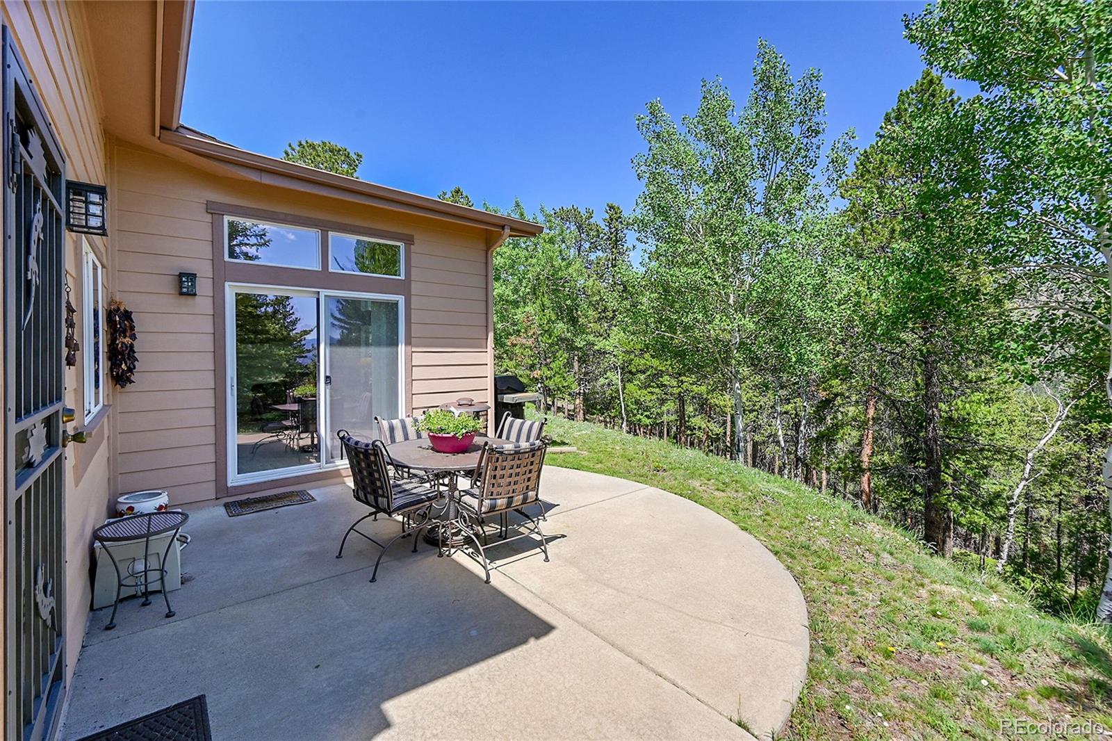 MLS Image #5 for 153  gold run trail,idaho springs, Colorado