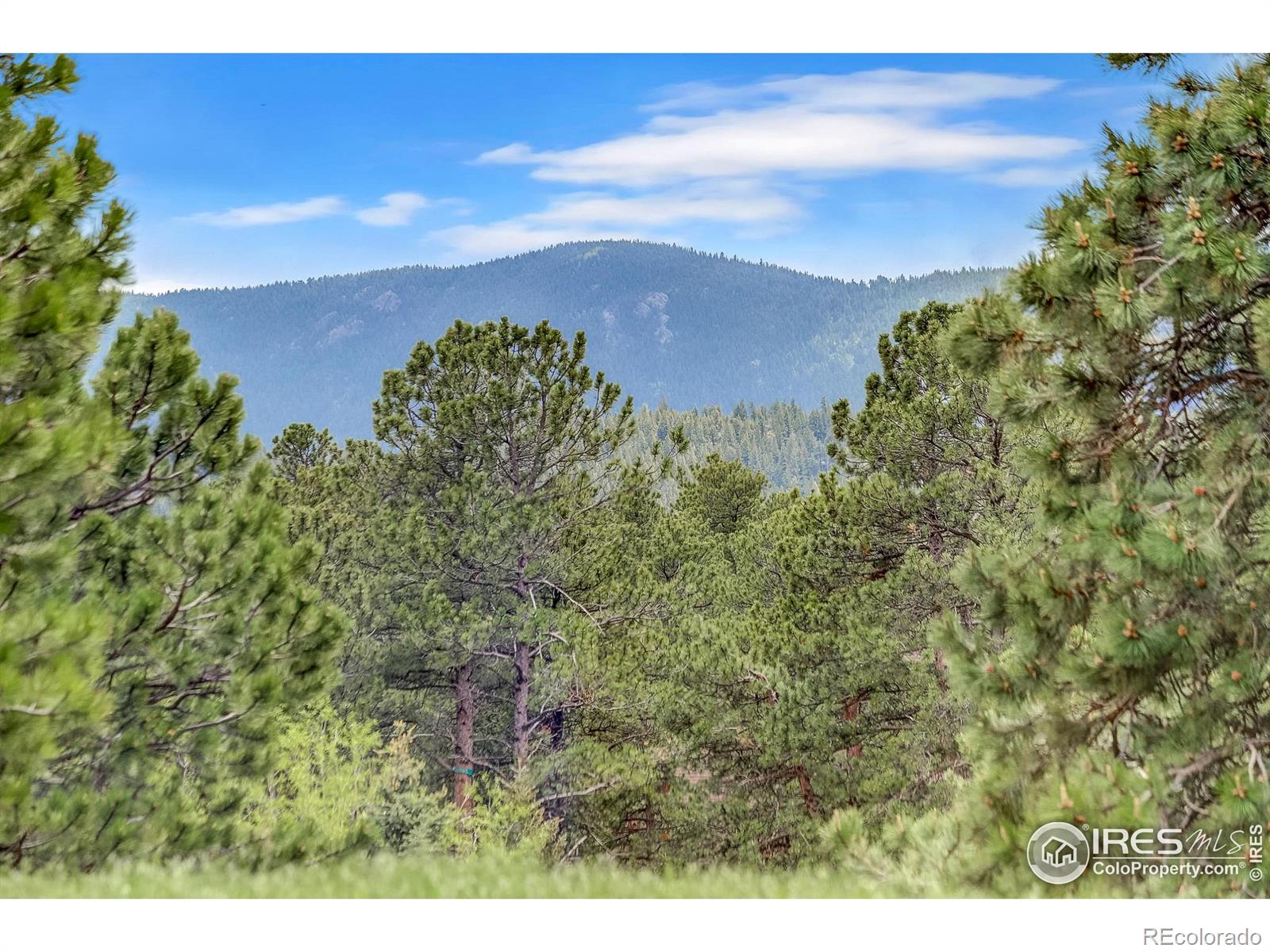 MLS Image #16 for 849  mountain meadows road,boulder, Colorado