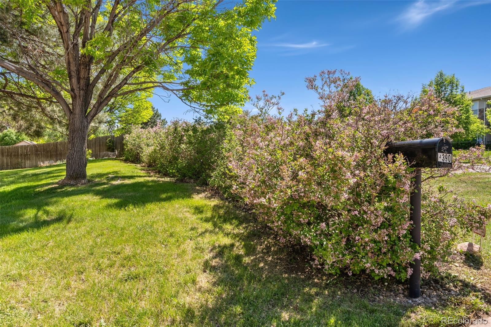 MLS Image #3 for 4390 s sheridan boulevard,littleton, Colorado