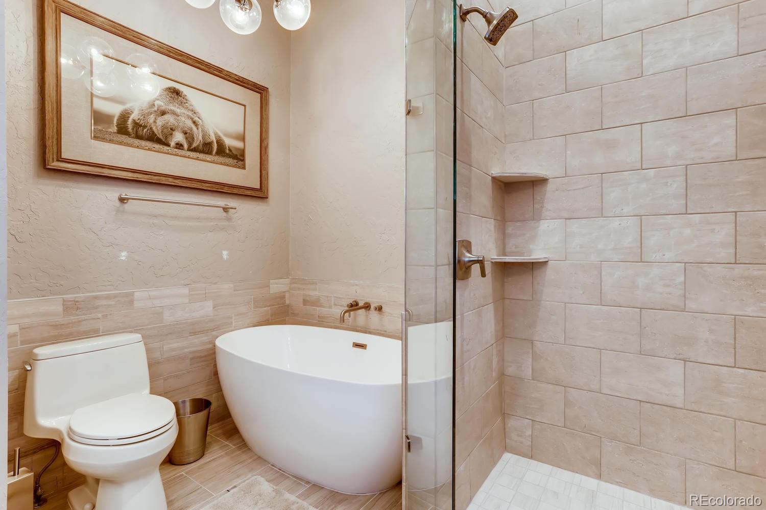 MLS Image #15 for 0125  lake ridge circle,keystone, Colorado