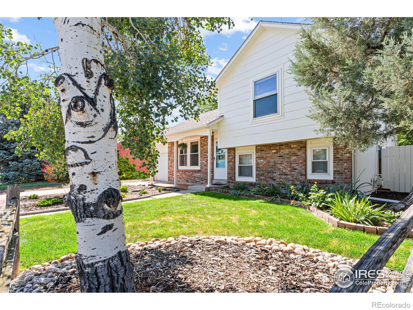 MLS Image #2 for 109  sunflower drive,windsor, Colorado