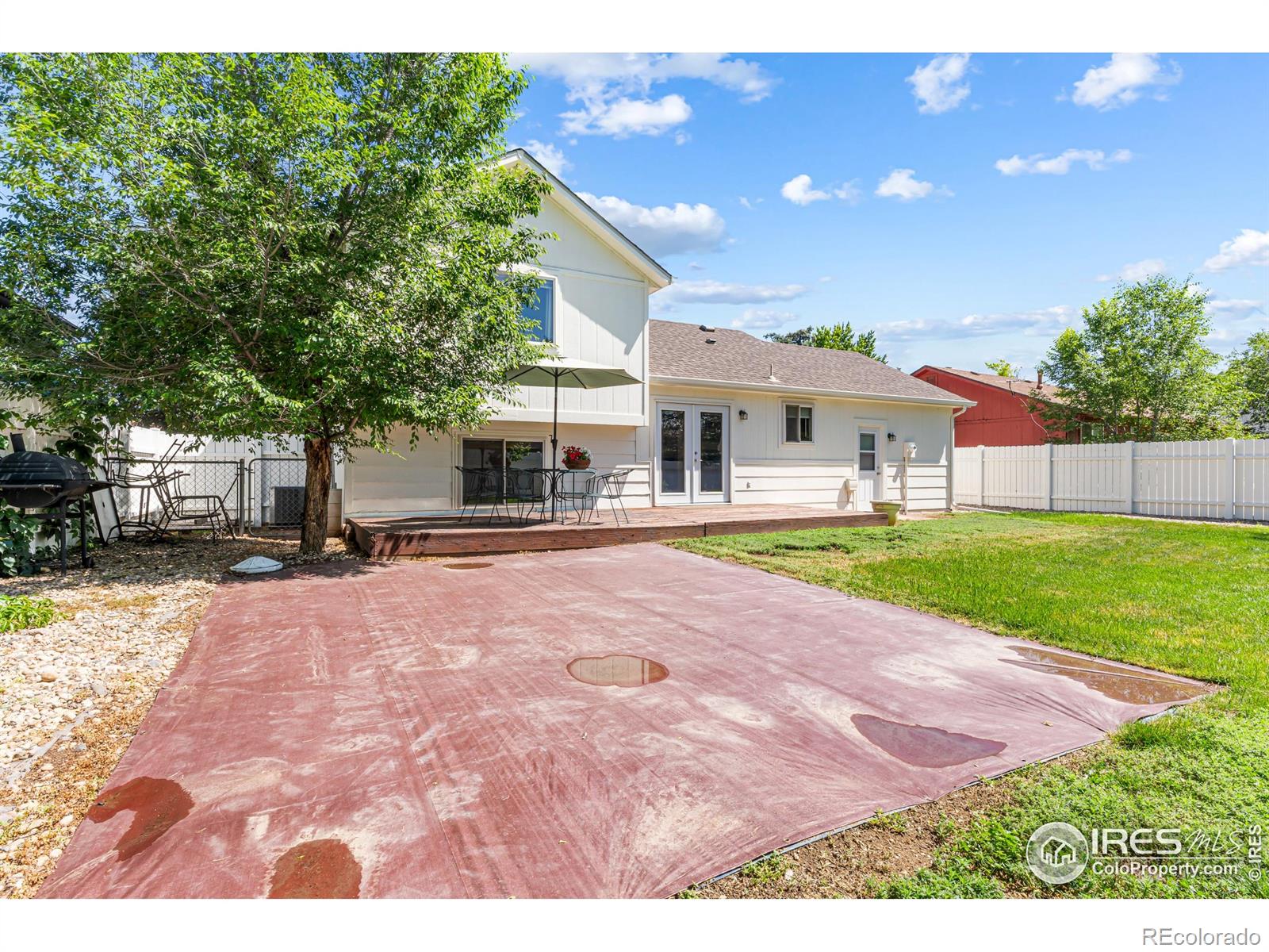 MLS Image #27 for 109  sunflower drive,windsor, Colorado