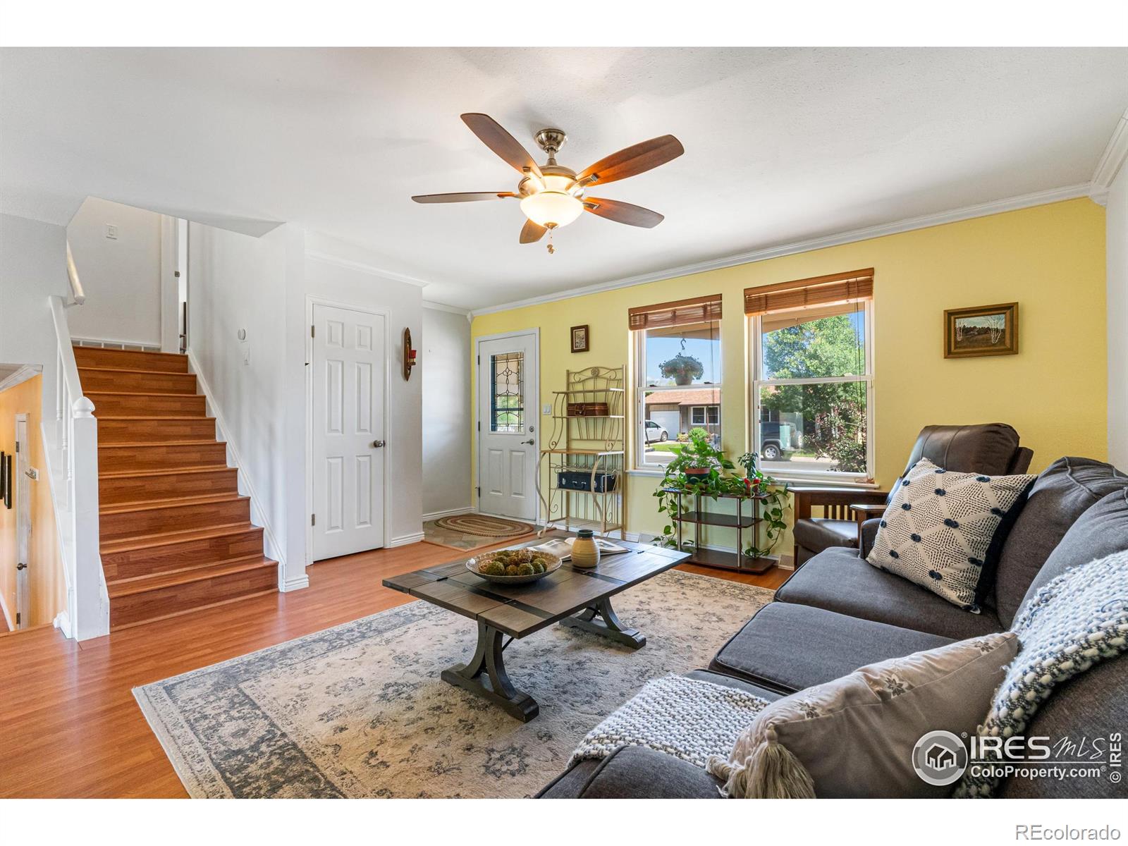 MLS Image #6 for 109  sunflower drive,windsor, Colorado
