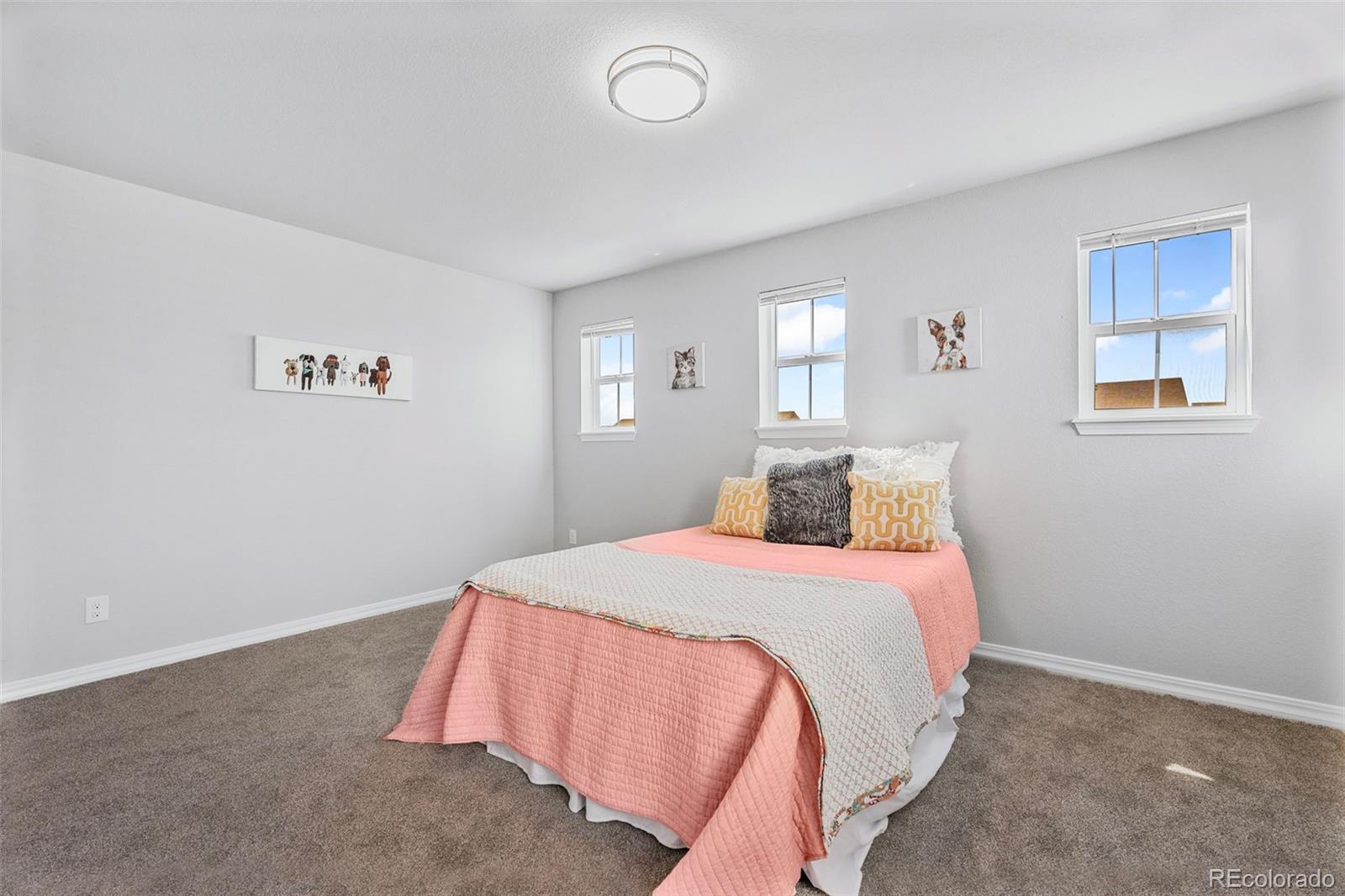 MLS Image #26 for 44 s olympian drive,colorado springs, Colorado