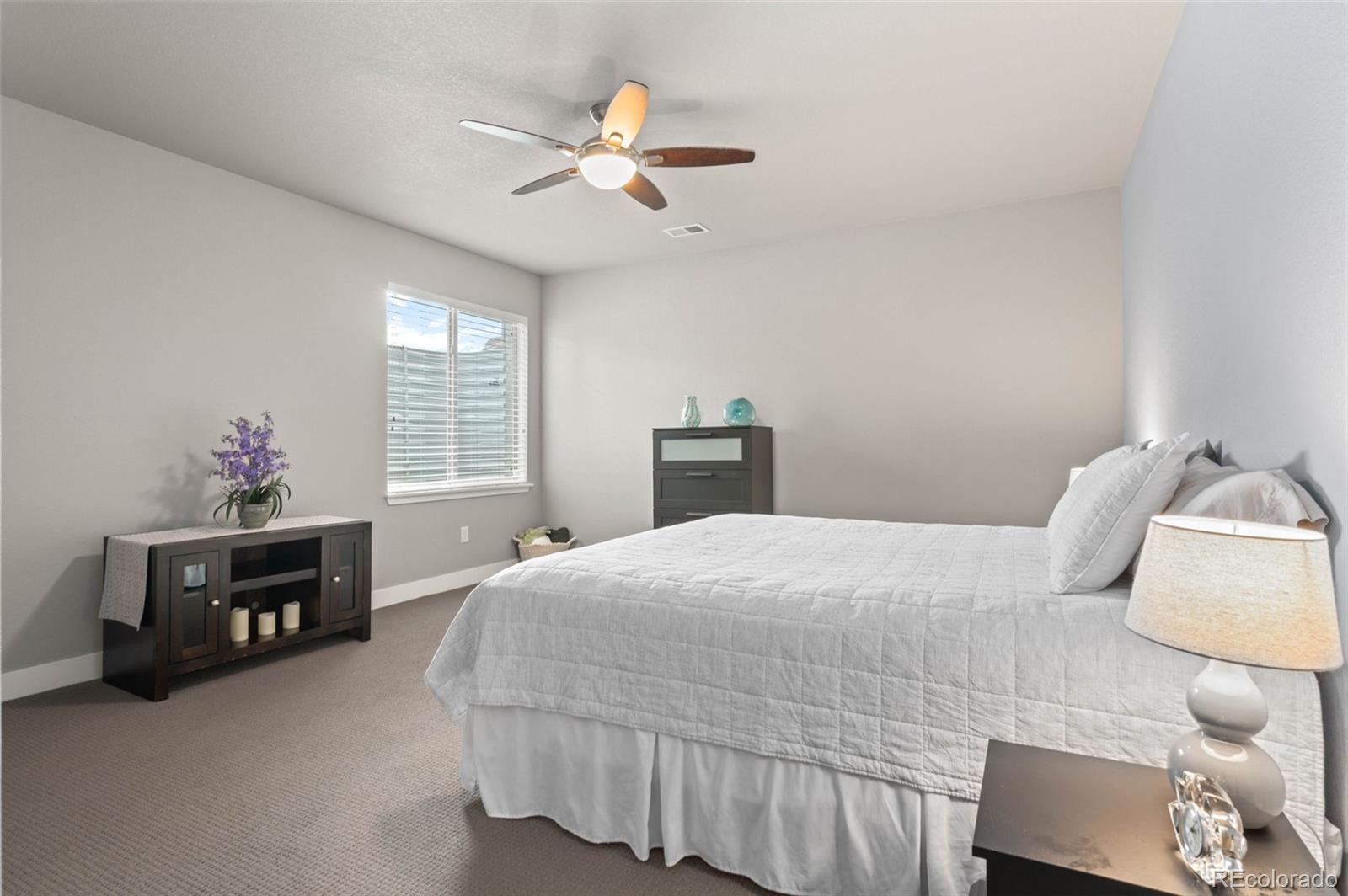 MLS Image #29 for 17358 w 95th avenue,arvada, Colorado