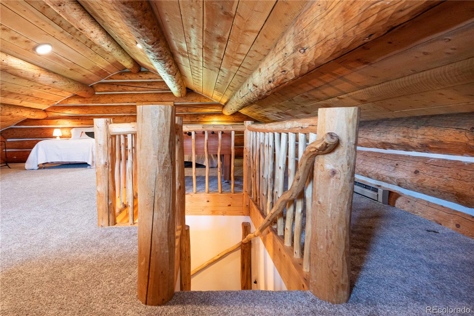 MLS Image #24 for 135  gcr 4110 ,granby, Colorado