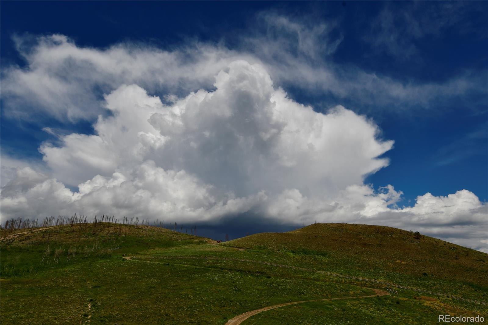 MLS Image #34 for 135  gcr 4110 ,granby, Colorado