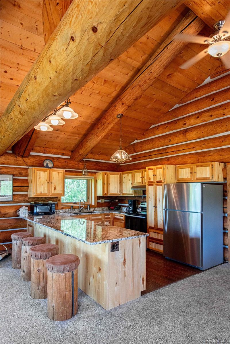 MLS Image #4 for 135  gcr 4110 ,granby, Colorado