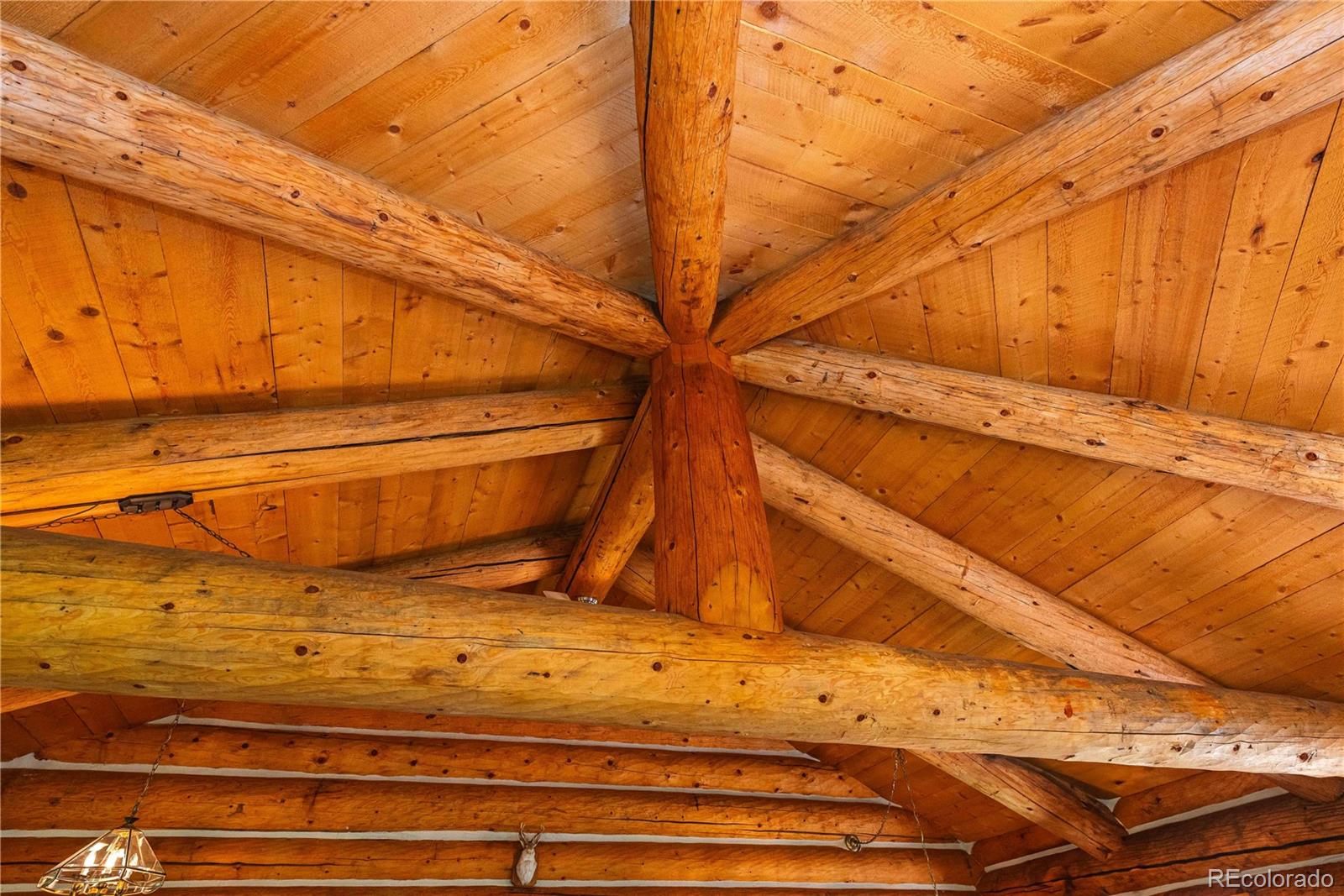 MLS Image #9 for 135  gcr 4110 ,granby, Colorado