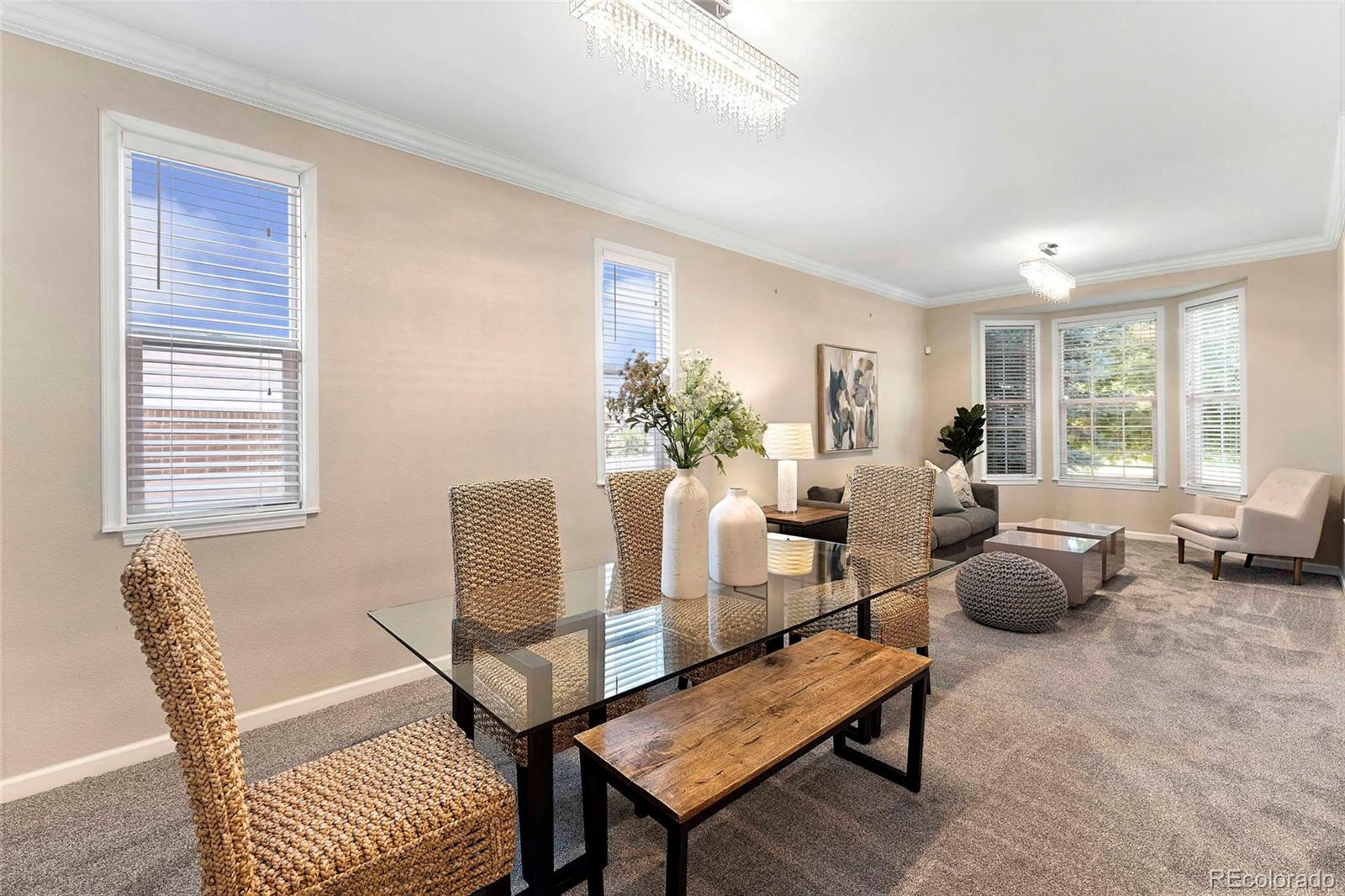 MLS Image #10 for 23060  hope dale avenue,parker, Colorado
