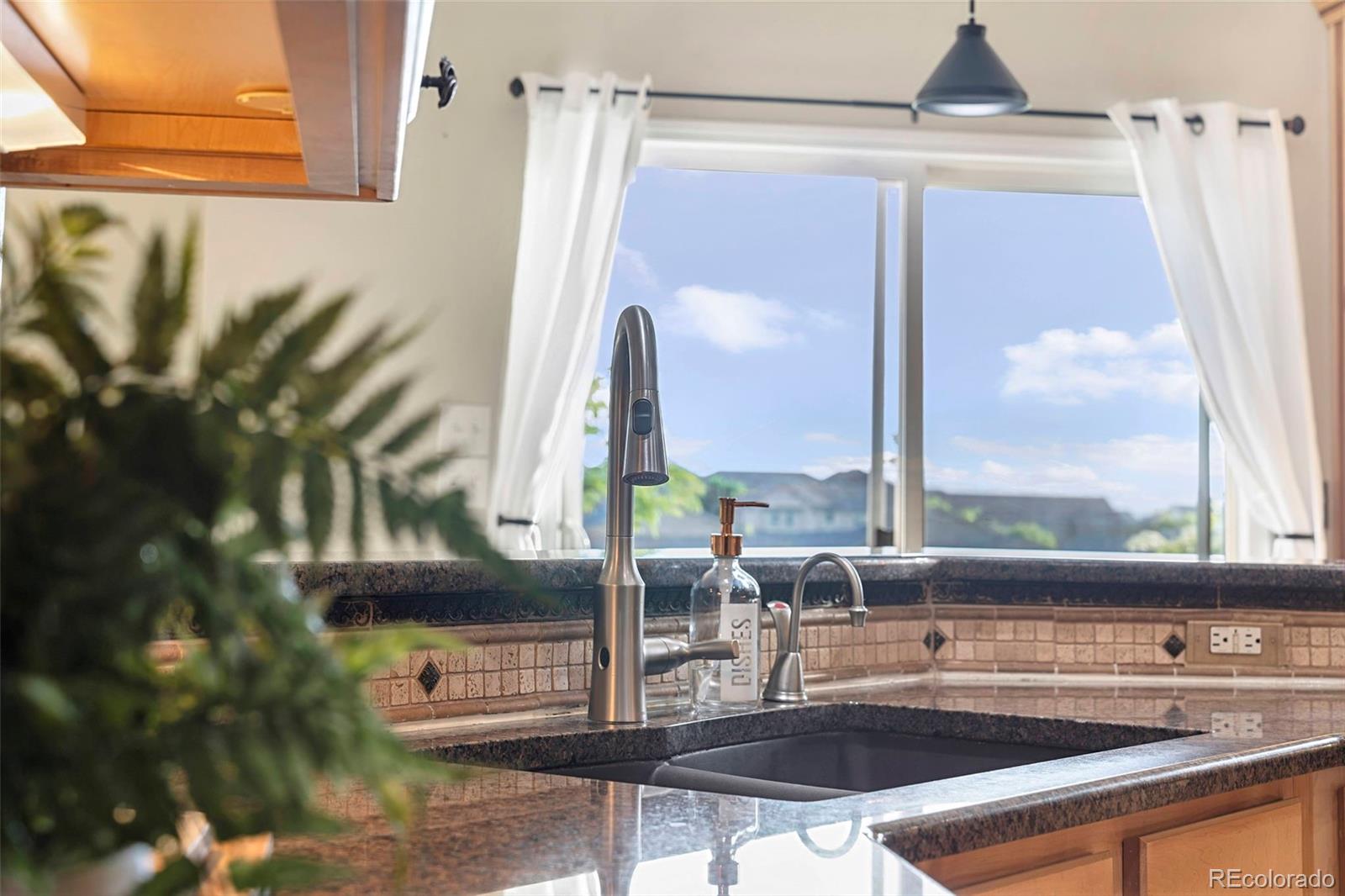 MLS Image #19 for 23060  hope dale avenue,parker, Colorado