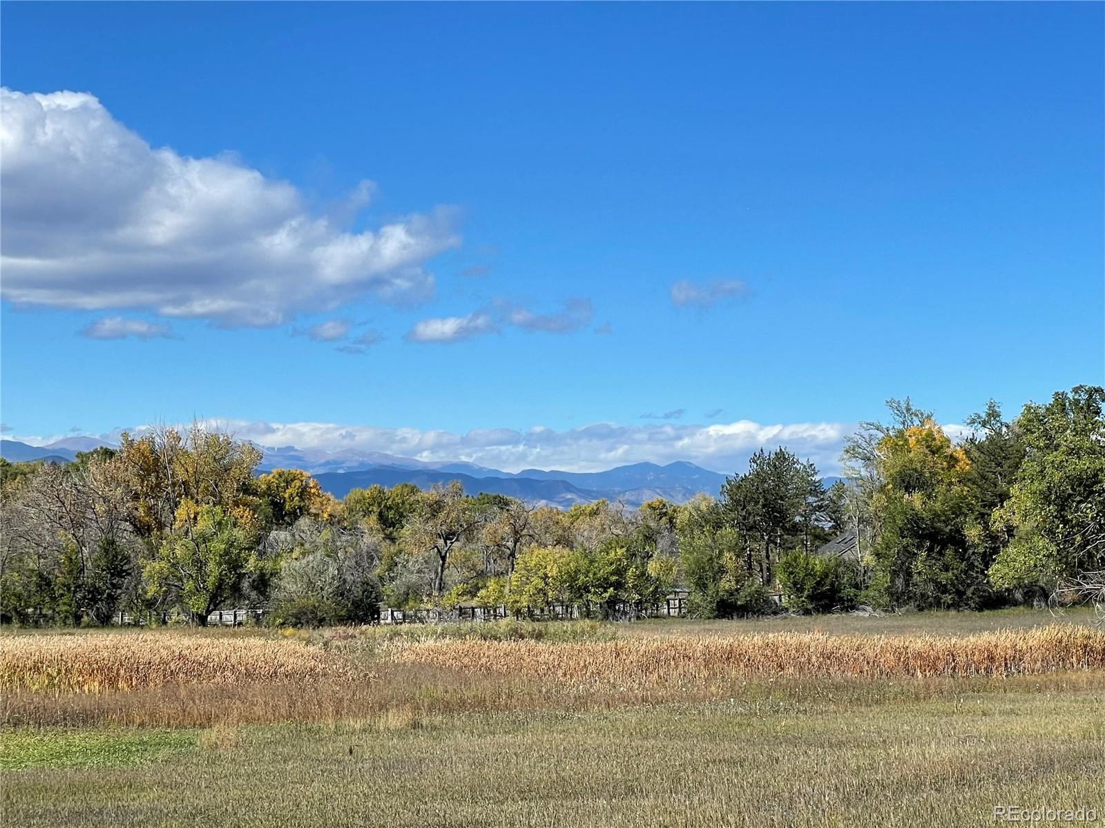 MLS Image #45 for    ,, Colorado
