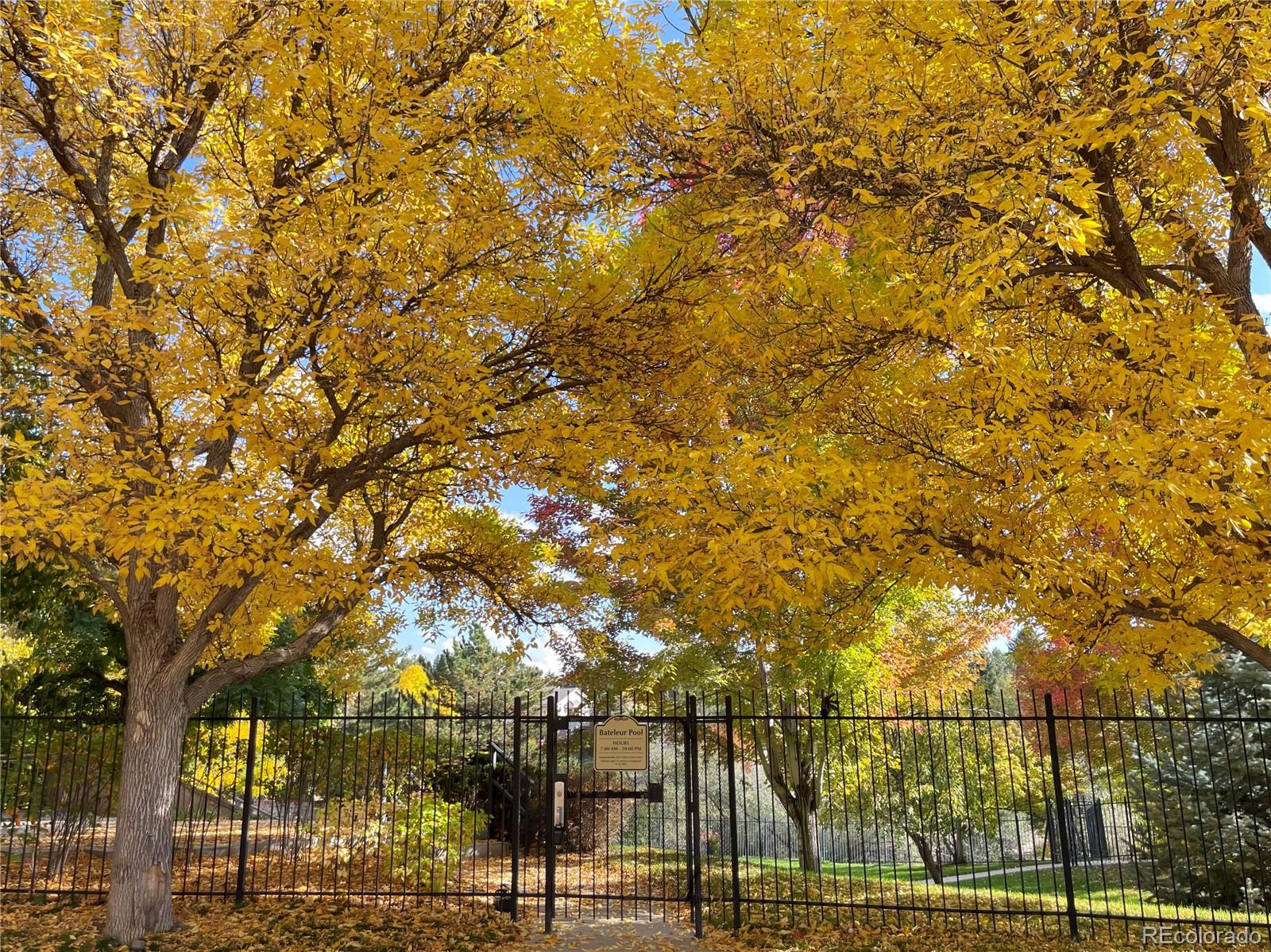 MLS Image #9 for    ,, Colorado