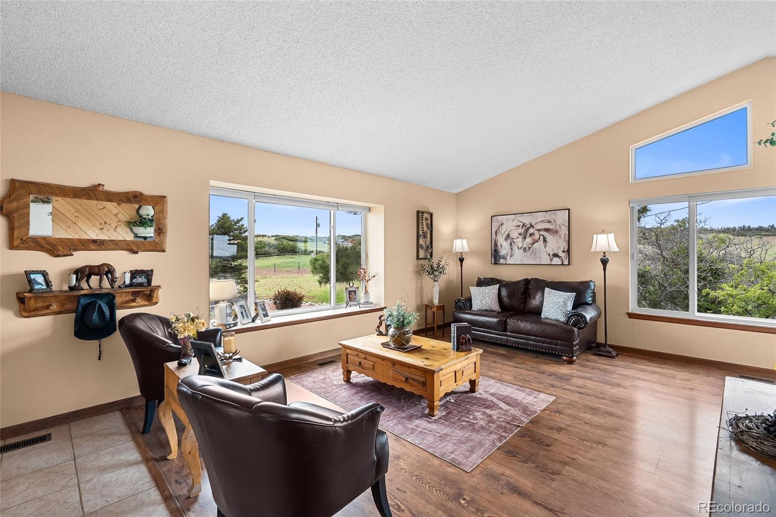 MLS Image #10 for 225  briscoe lane,castle rock, Colorado