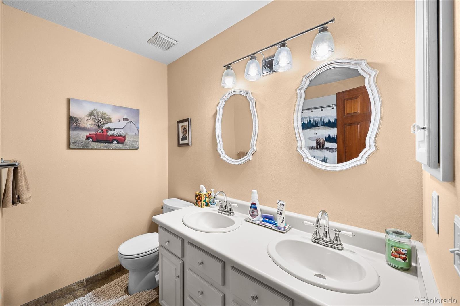 MLS Image #19 for 225  briscoe lane,castle rock, Colorado
