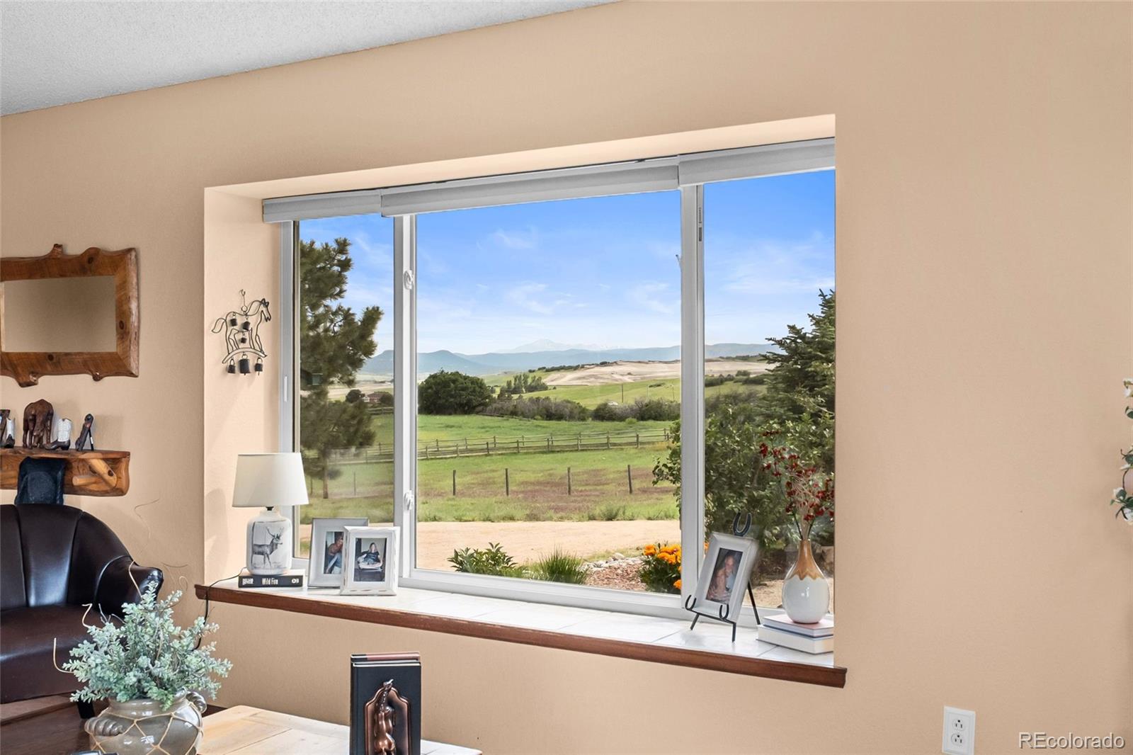 MLS Image #4 for 225  briscoe lane,castle rock, Colorado