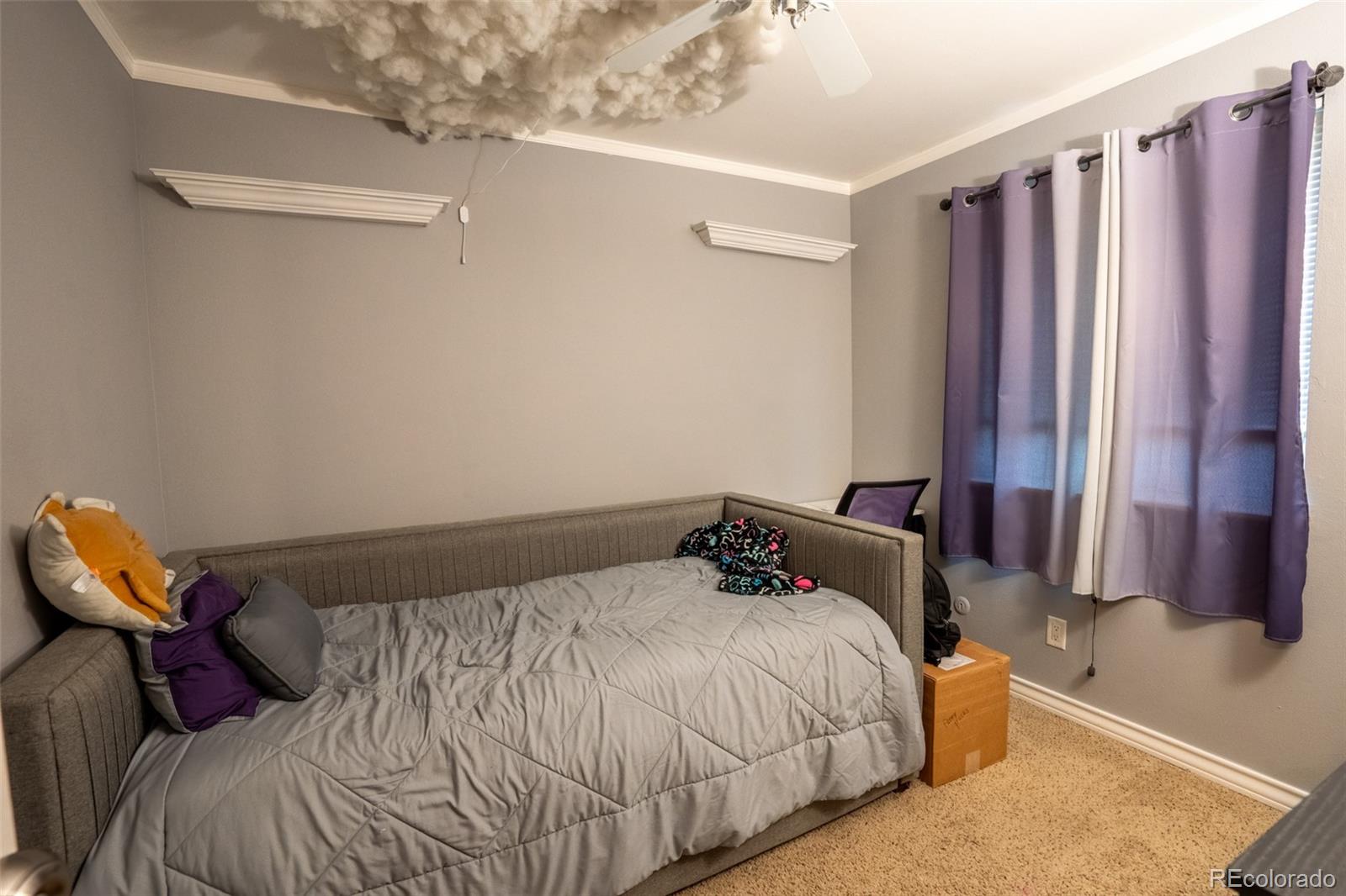 MLS Image #12 for 10050  holland court,broomfield, Colorado