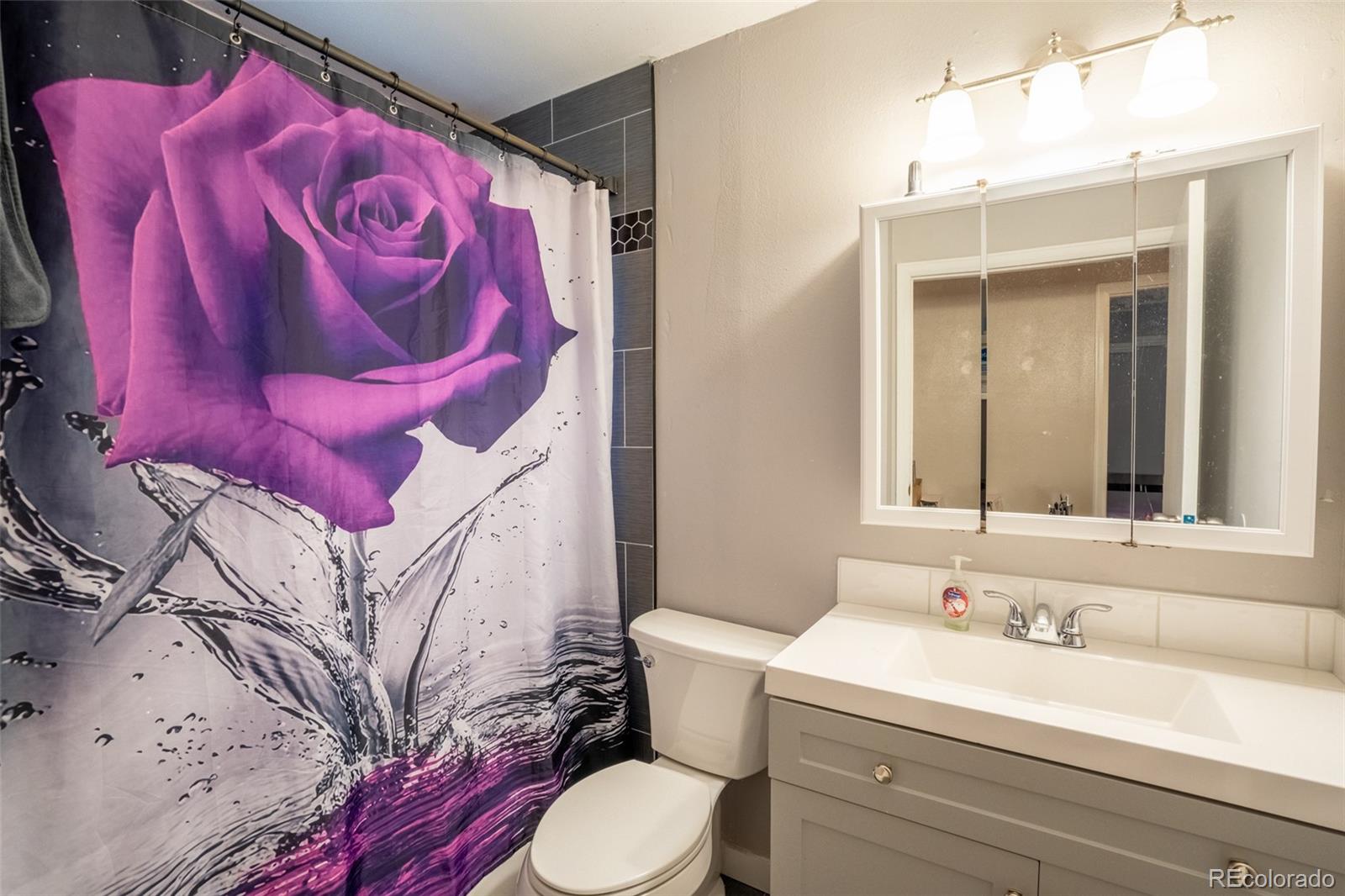 MLS Image #14 for 10050  holland court,broomfield, Colorado