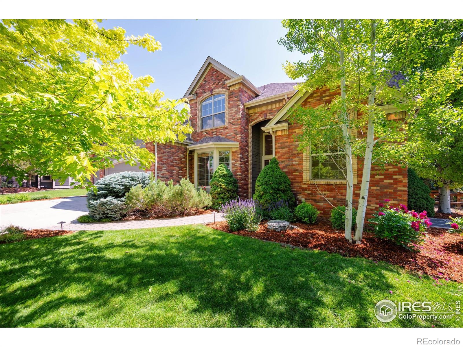 MLS Image #1 for 8416  starfish court,windsor, Colorado