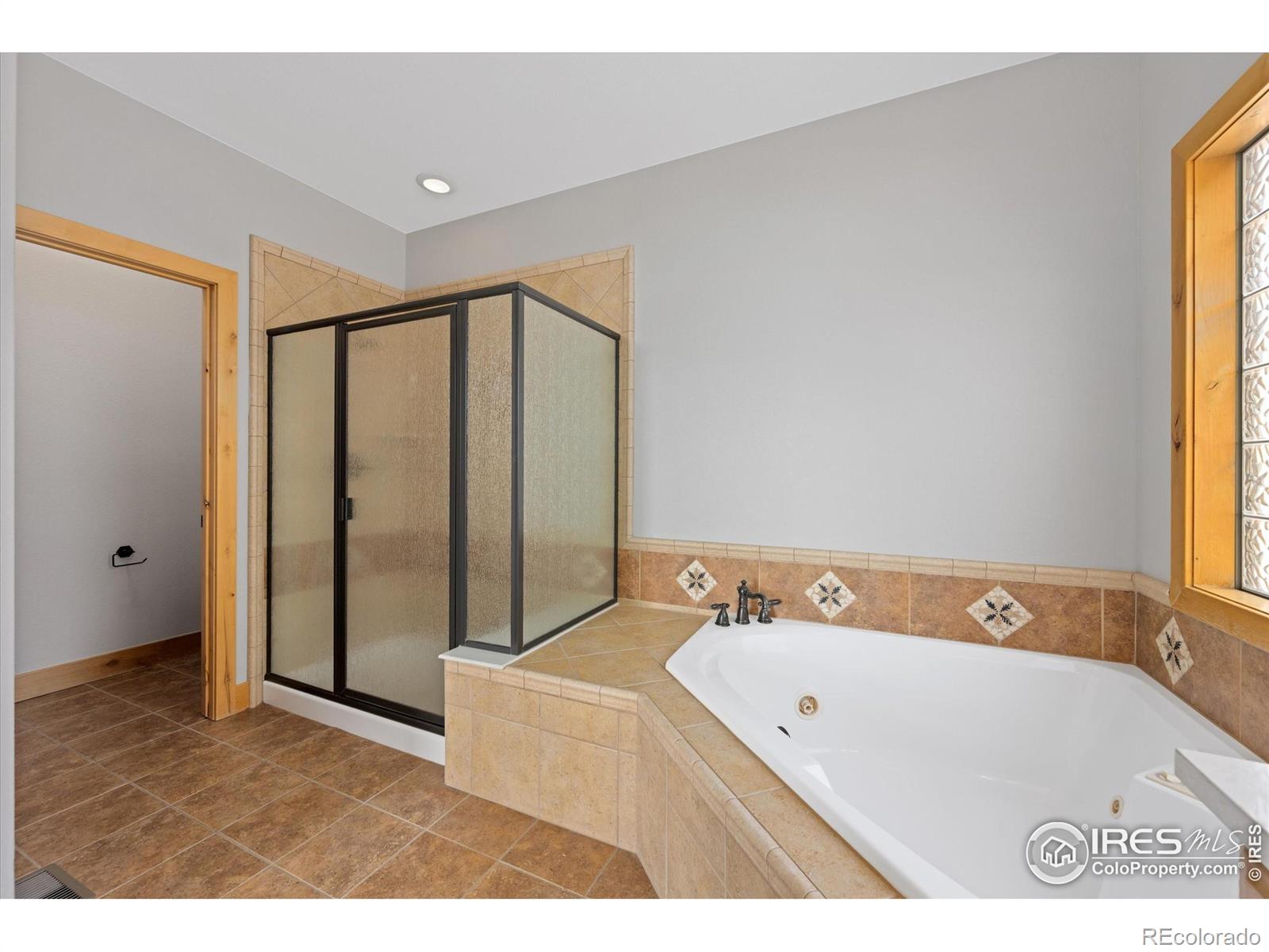 MLS Image #15 for 8416  starfish court,windsor, Colorado