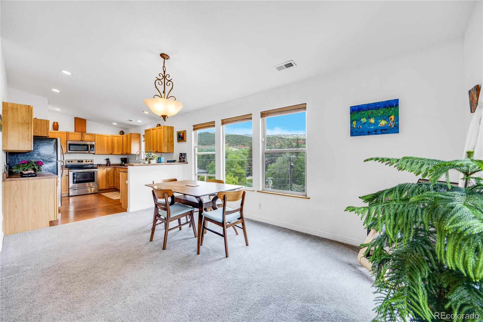 MLS Image #13 for 10  taos place,manitou springs, Colorado