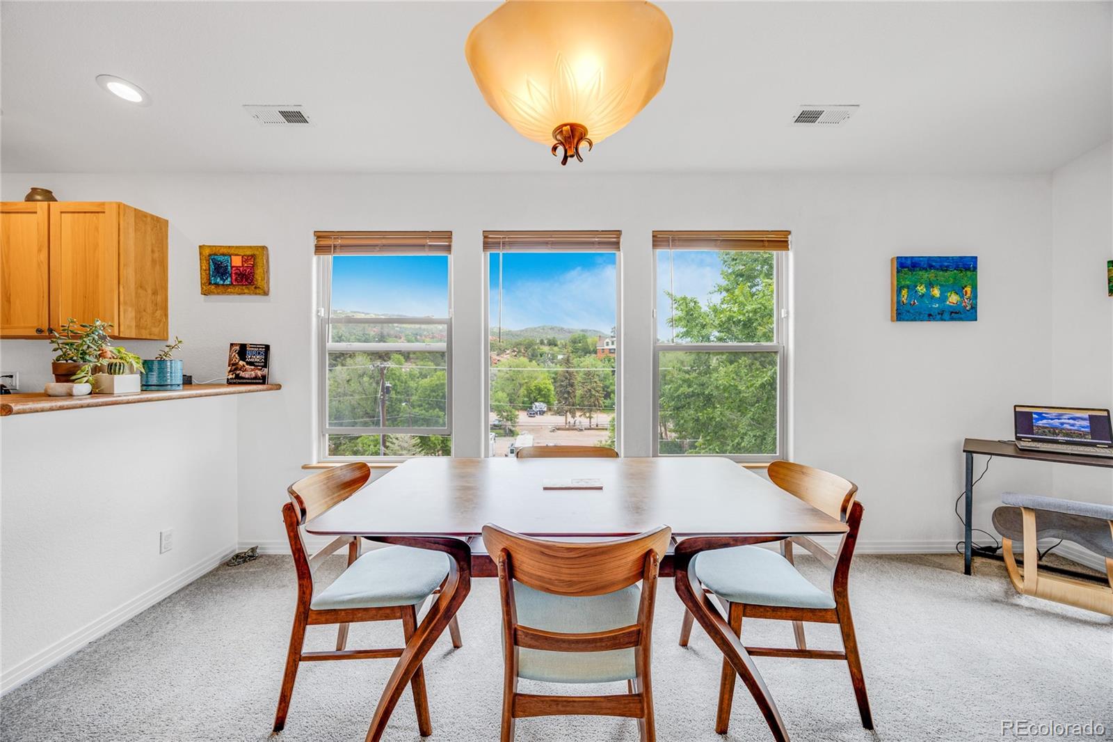 MLS Image #16 for 10  taos place,manitou springs, Colorado