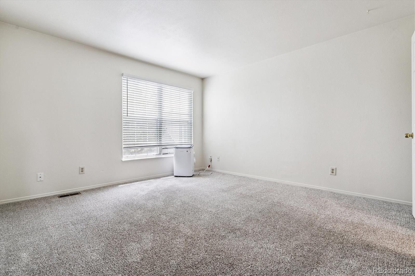 MLS Image #12 for 4592  malaya street,denver, Colorado