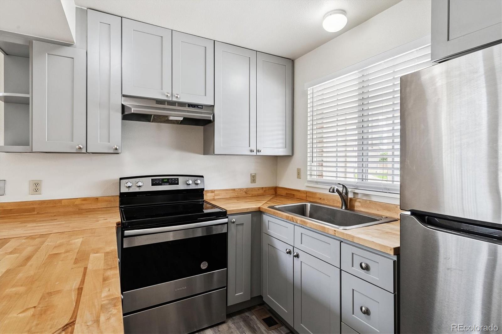 MLS Image #8 for 4592  malaya street,denver, Colorado